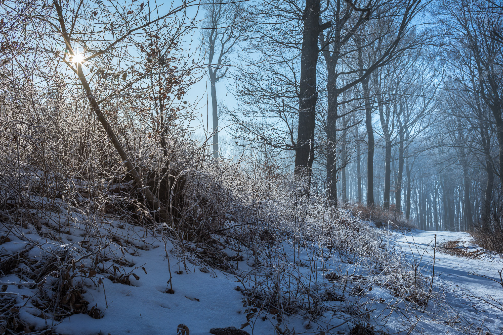 E 35mm F2 sample photo. Wienerwald photography