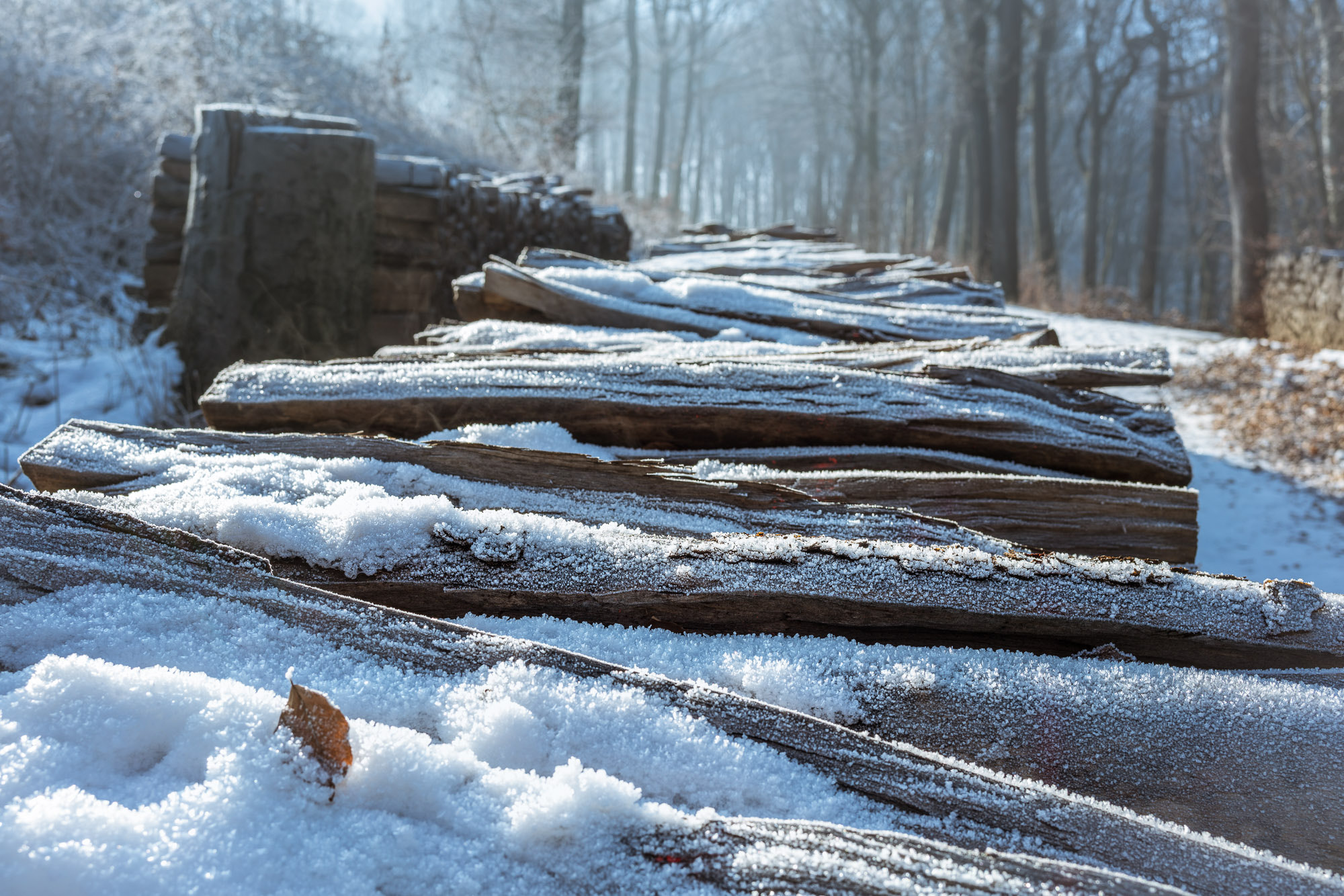 Sony a7R II + E 35mm F2 sample photo. Wienerwald photography