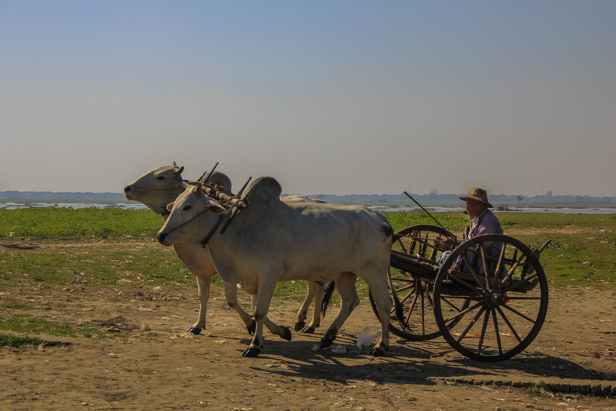 Sigma 18-250mm F3.5-6.3 DC OS HSM sample photo. Mandalay/burma photography