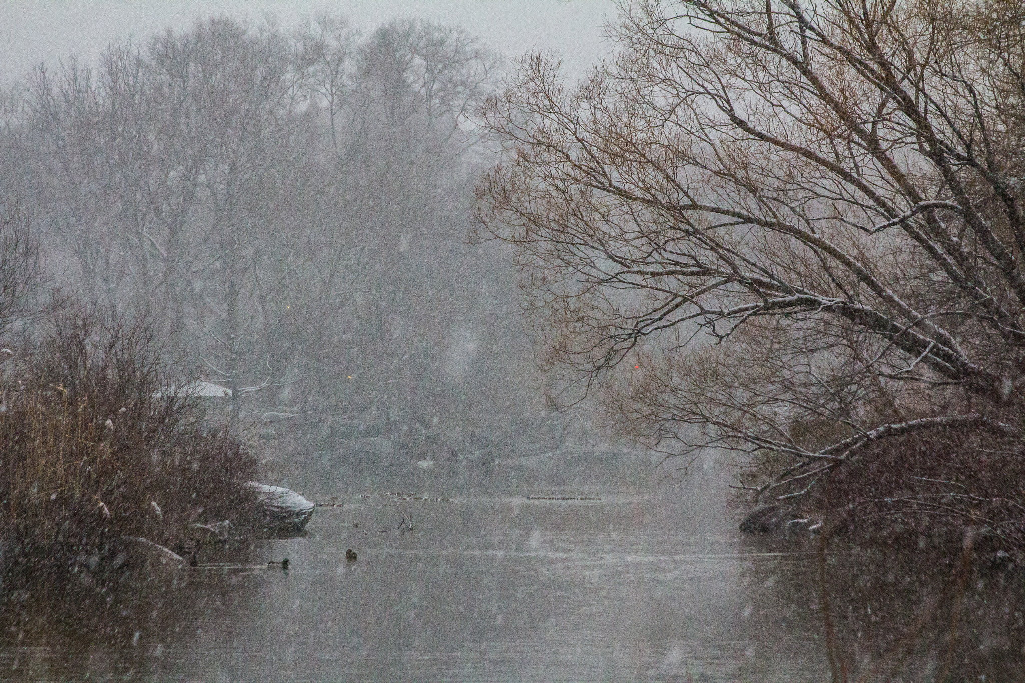 Canon EF 28-135mm F3.5-5.6 IS USM sample photo. Central park in the snow photography