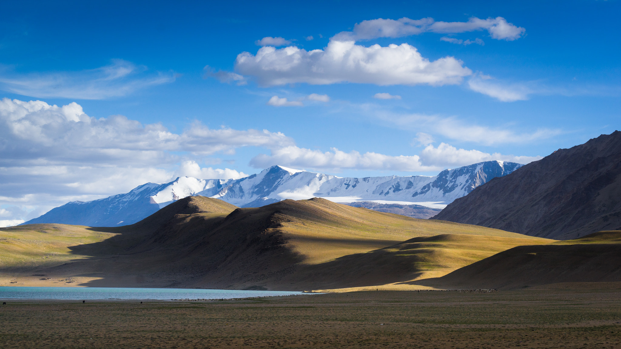 Sony a7R + Sony FE 70-200mm F4 G OSS sample photo. Clean landscape in ladakh photography
