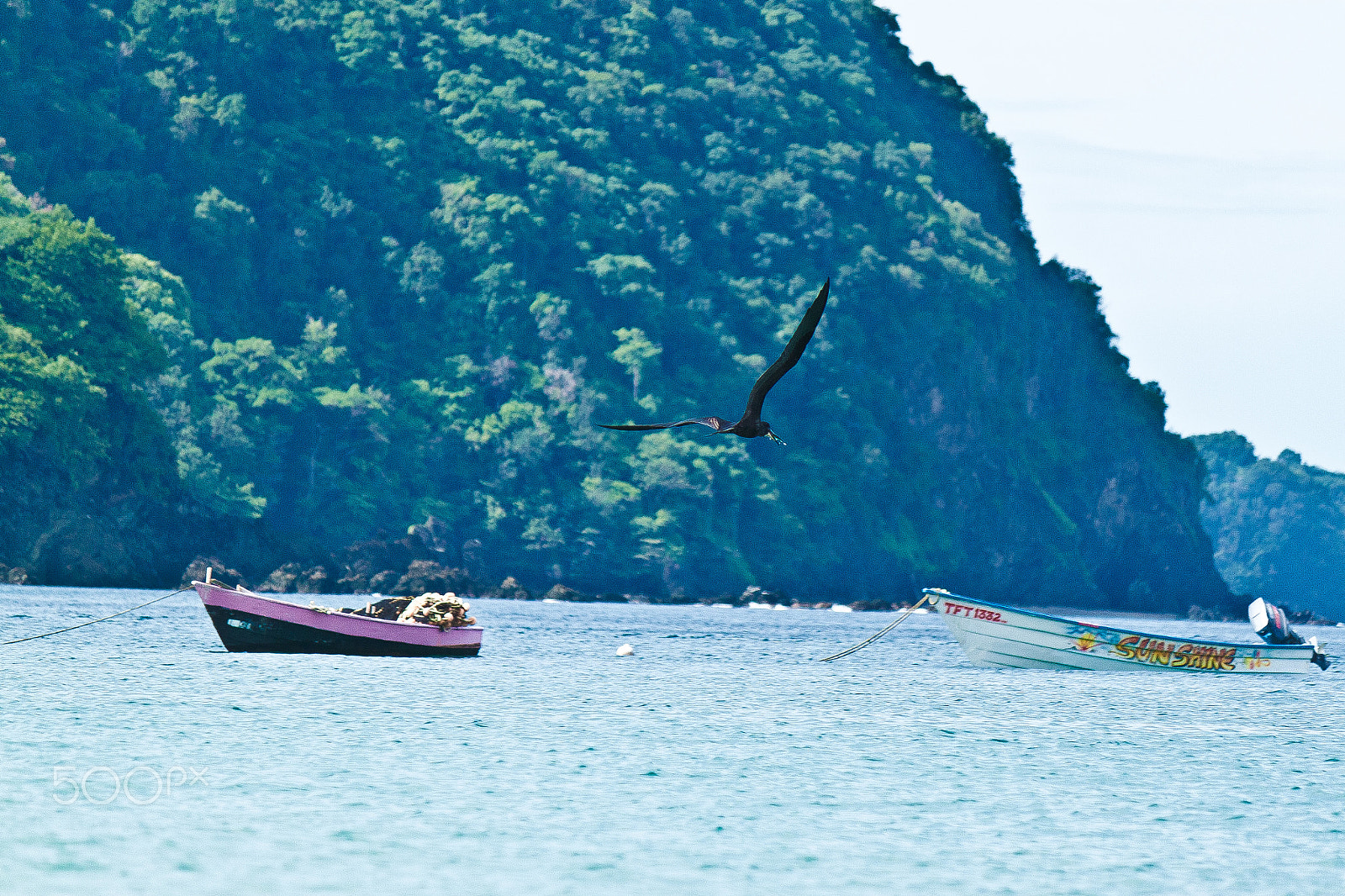 Canon EF-S 55-250mm F4-5.6 IS sample photo. Soaring photography