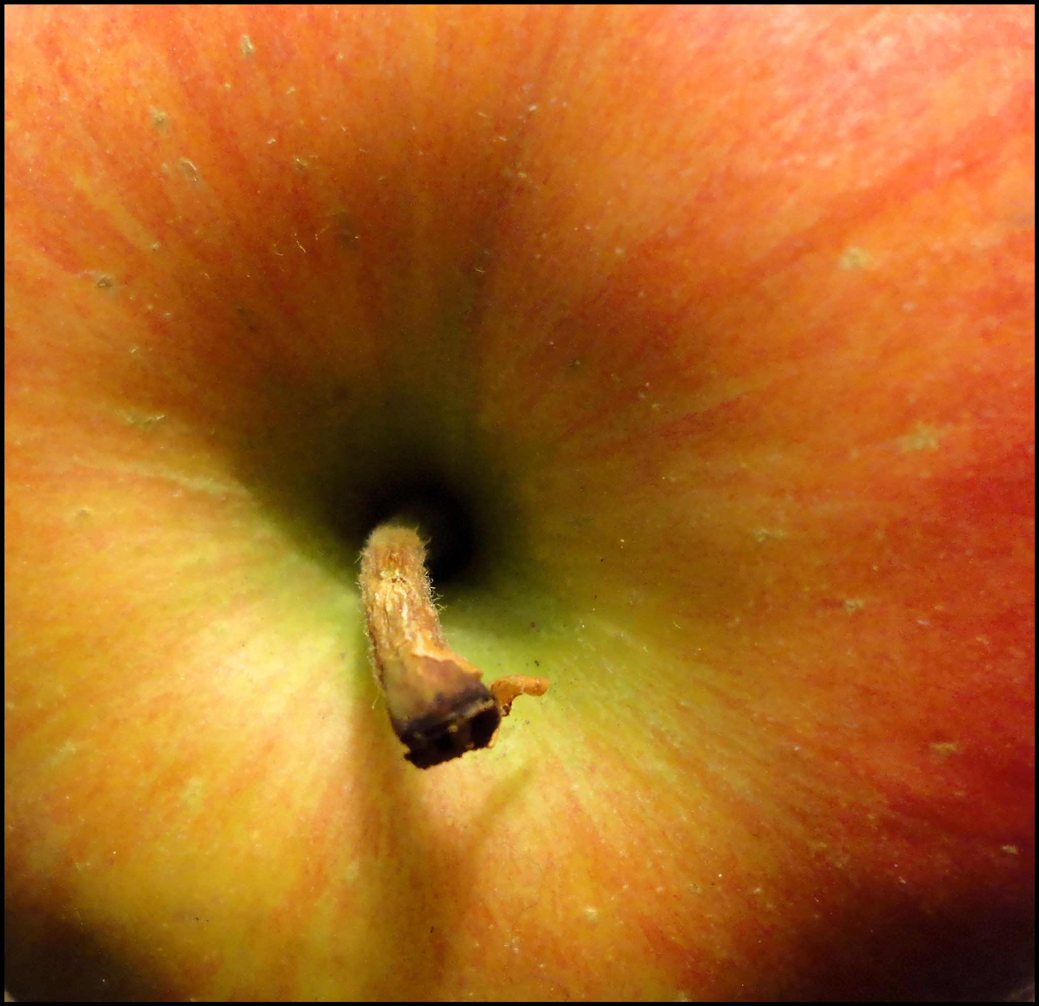 Sony Cyber-shot DSC-W350 sample photo. Apple. photography