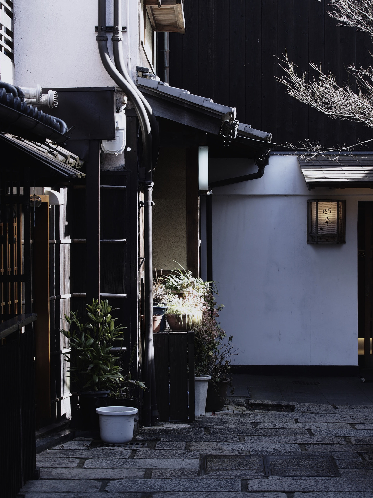 Olympus OM-D E-M5 sample photo. Morning sunshine, gion , kyoto, japan photography