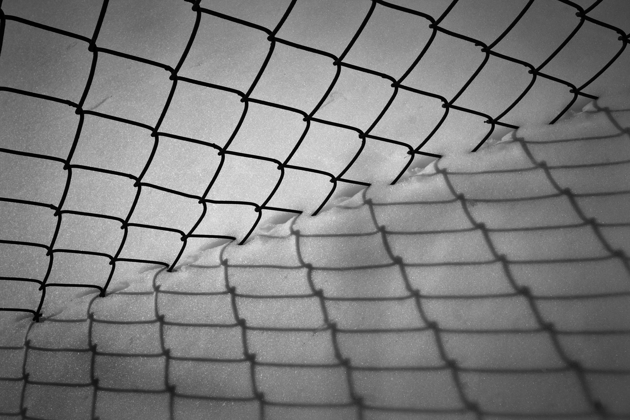 Canon EOS 350D (EOS Digital Rebel XT / EOS Kiss Digital N) sample photo. Fence photography