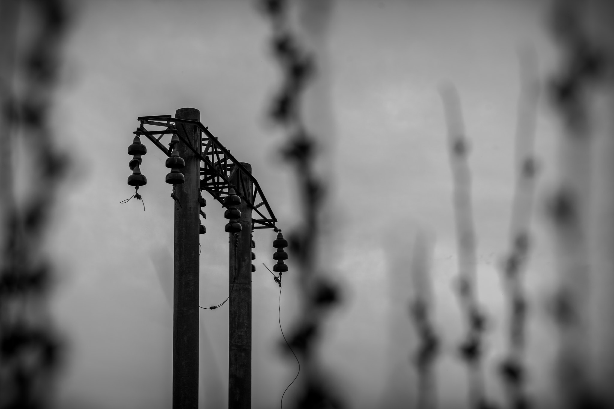 Nikon AF-S Micro-Nikkor 60mm F2.8G ED sample photo. Old electric pole photography