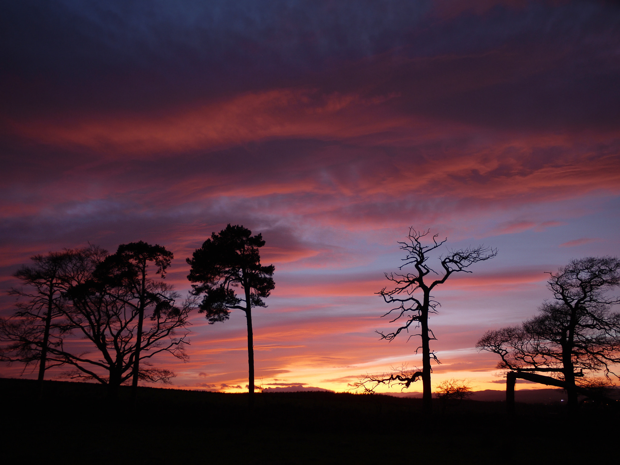 Olympus OM-D E-M5 II + Panasonic Lumix G 20mm F1.7 ASPH sample photo. Red sky at night photography