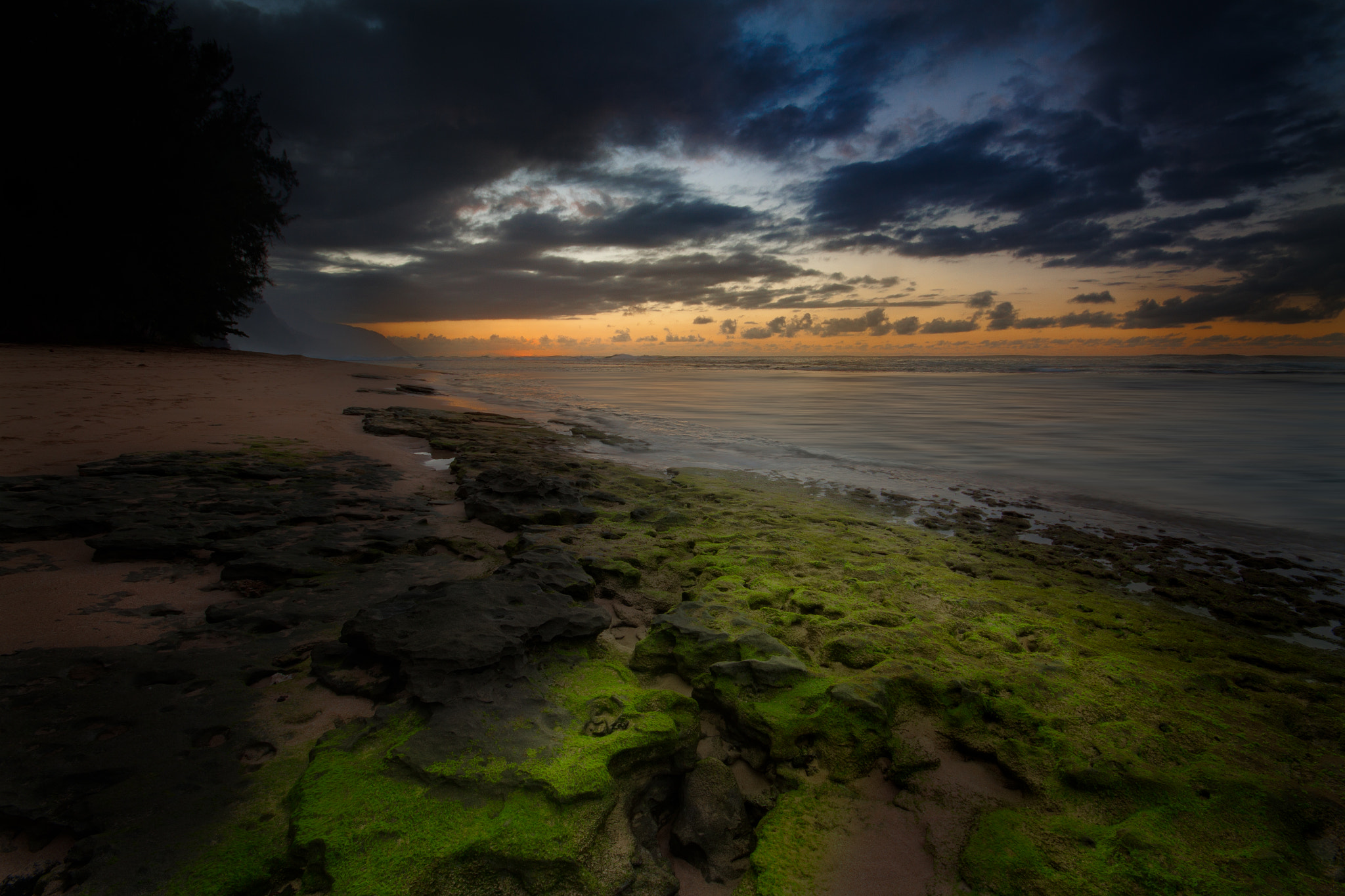 Canon EOS 50D sample photo. Sea green photography