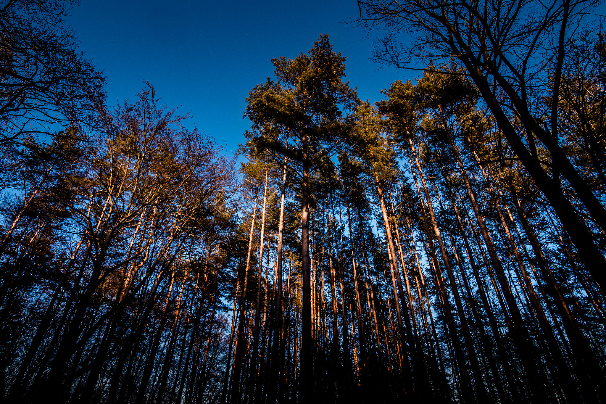 Panasonic Lumix DMC-GX8 + Panasonic Lumix G Vario 7-14mm F4 ASPH sample photo. Last light photography