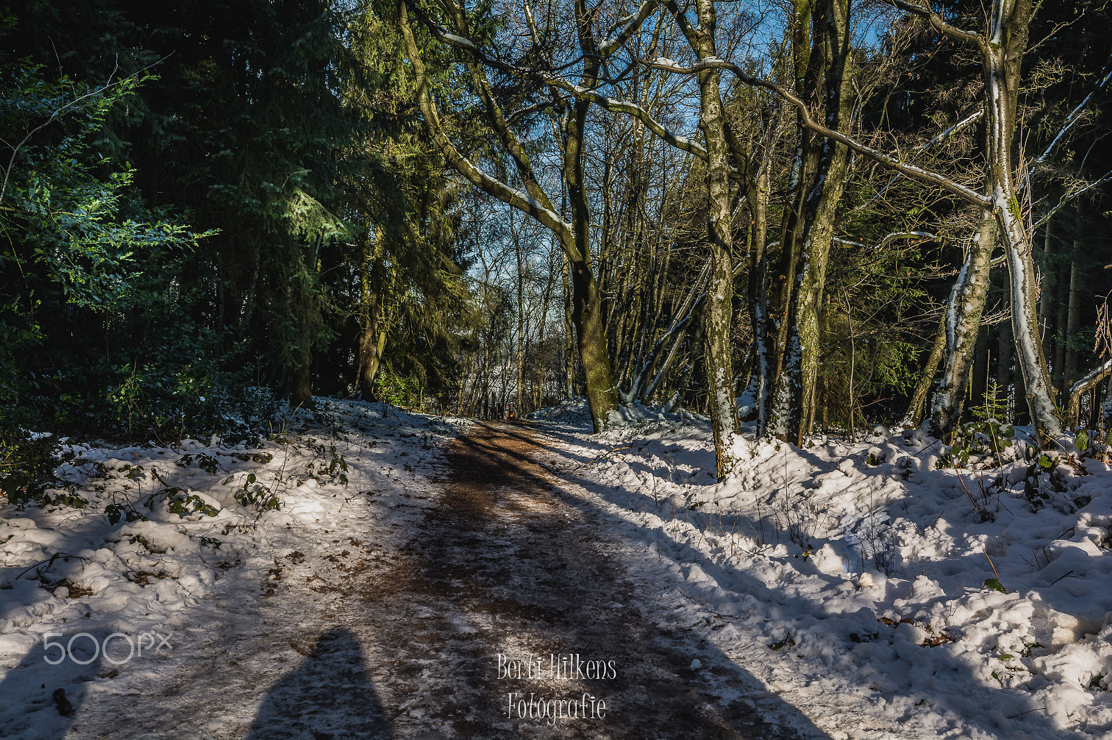 Tamron SP 15-30mm F2.8 Di VC USD sample photo. Just winter photography