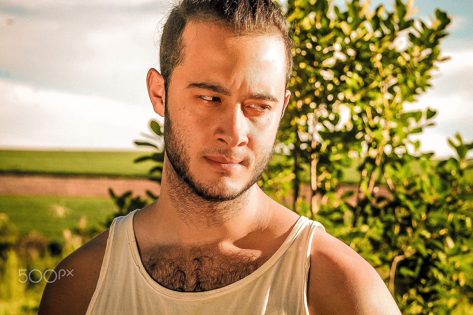 Nikon D40 sample photo. Memorys photography
