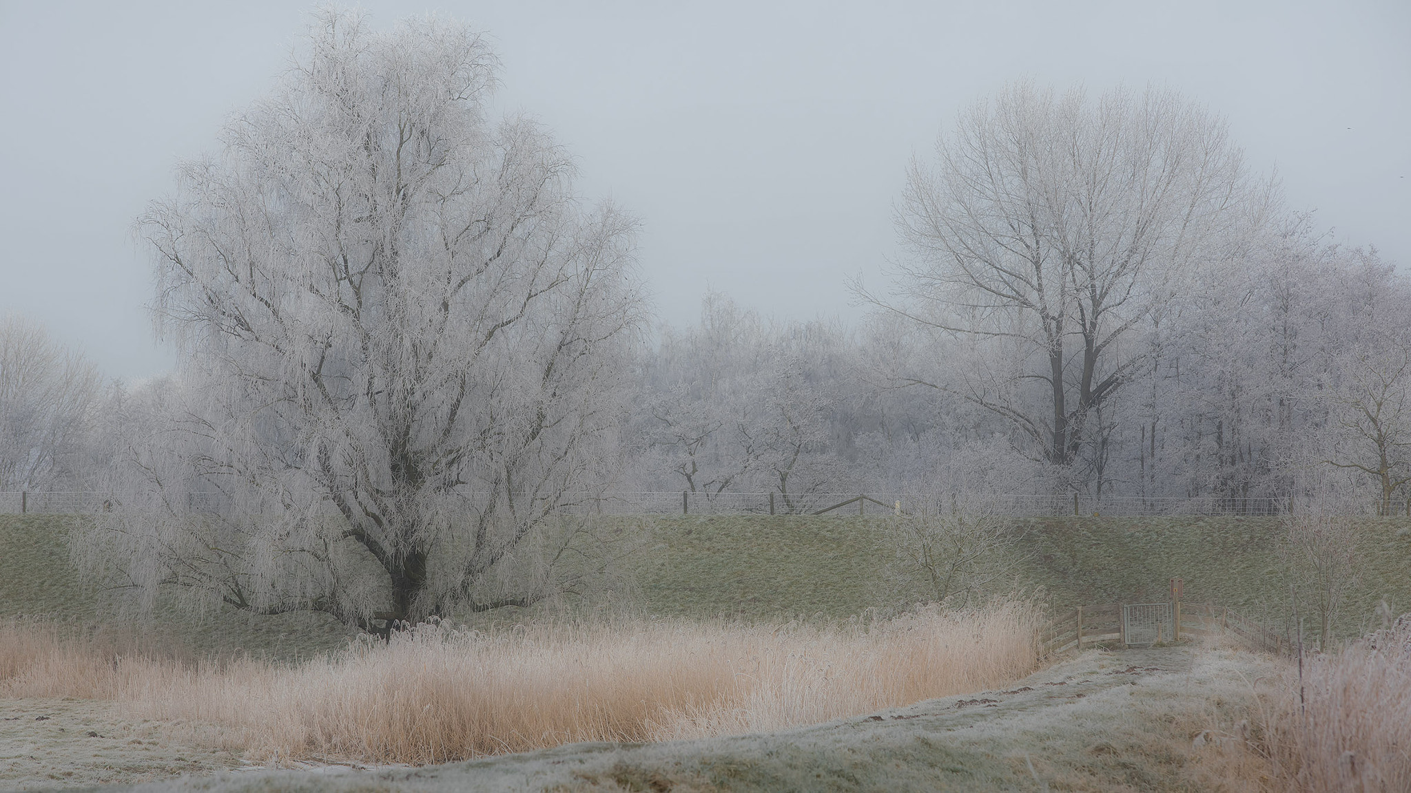 Canon EF 70-200mm F2.8L USM sample photo. Freeze view photography