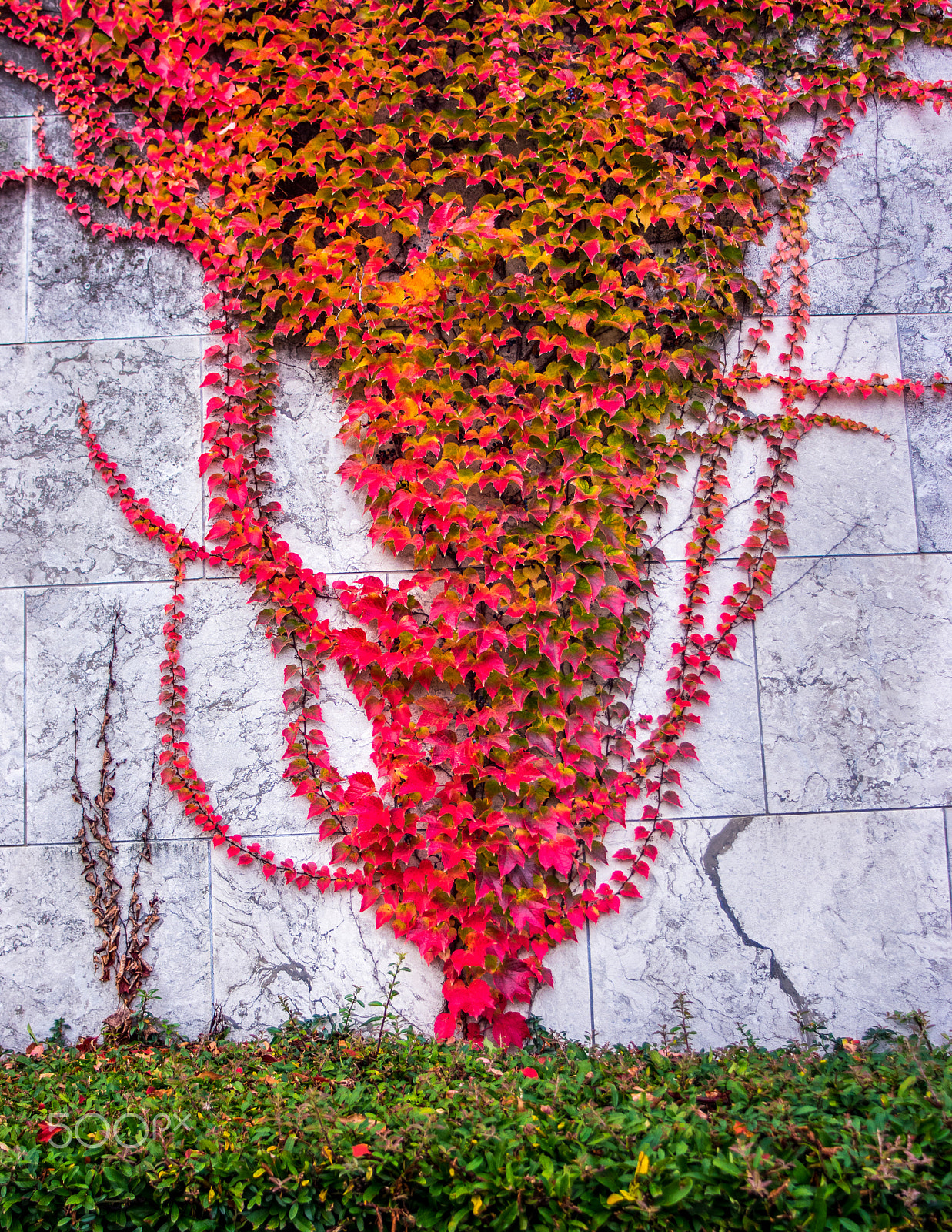 Pentax K-3 sample photo. Fall colors photography