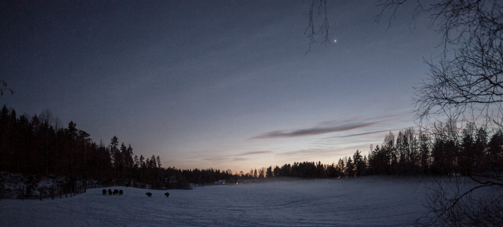 Sony Alpha DSLR-A900 sample photo. Venus photography