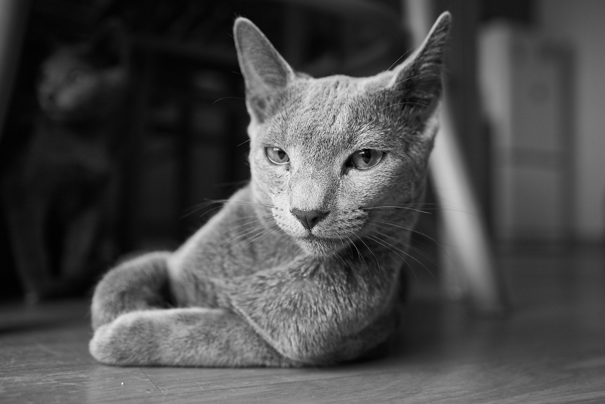 Sony FE 28mm F2 sample photo. Dsc photography