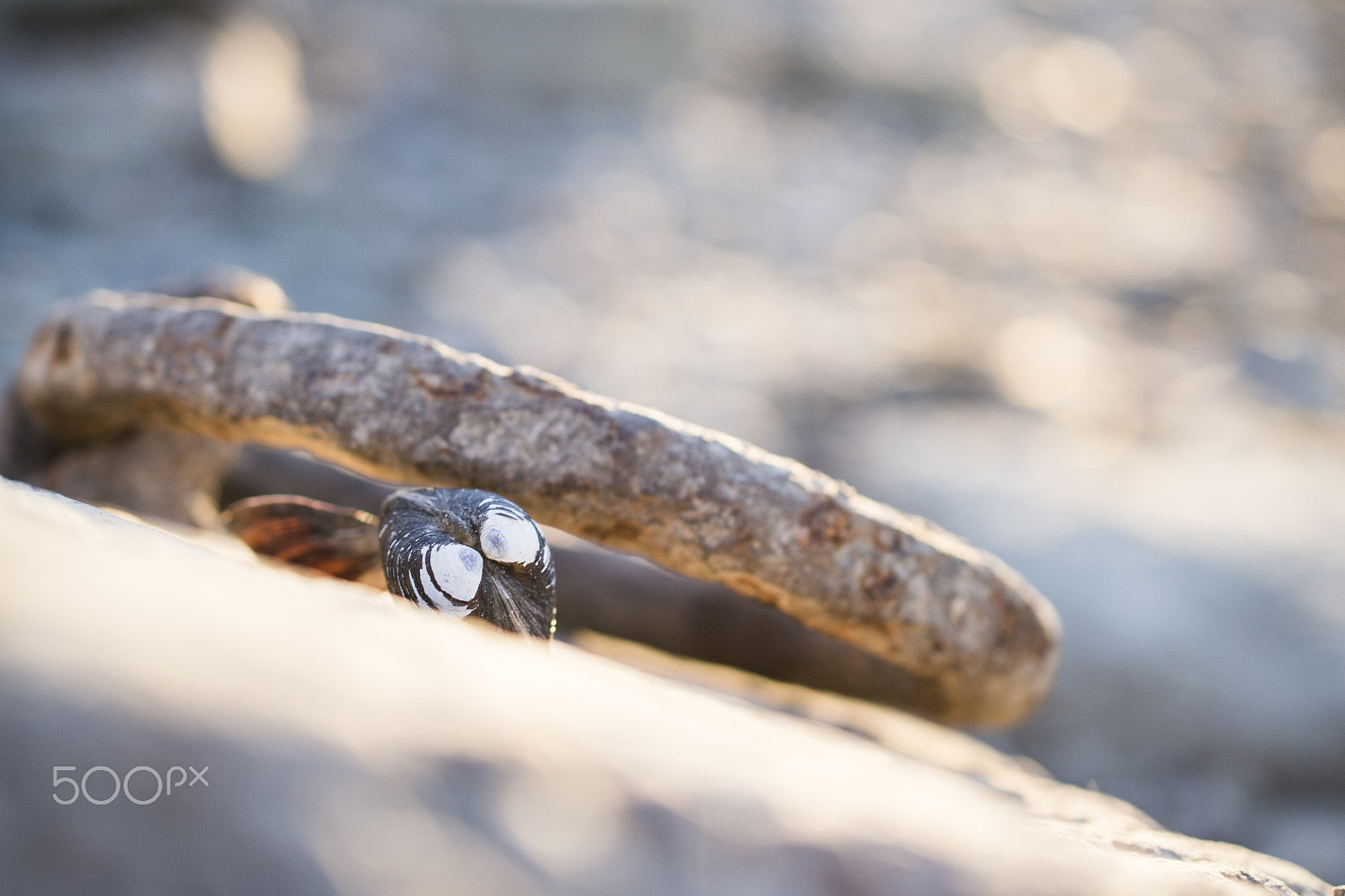 Nikon AF-S DX Micro Nikkor 40mm F2.8 sample photo. Sunset at the river photography