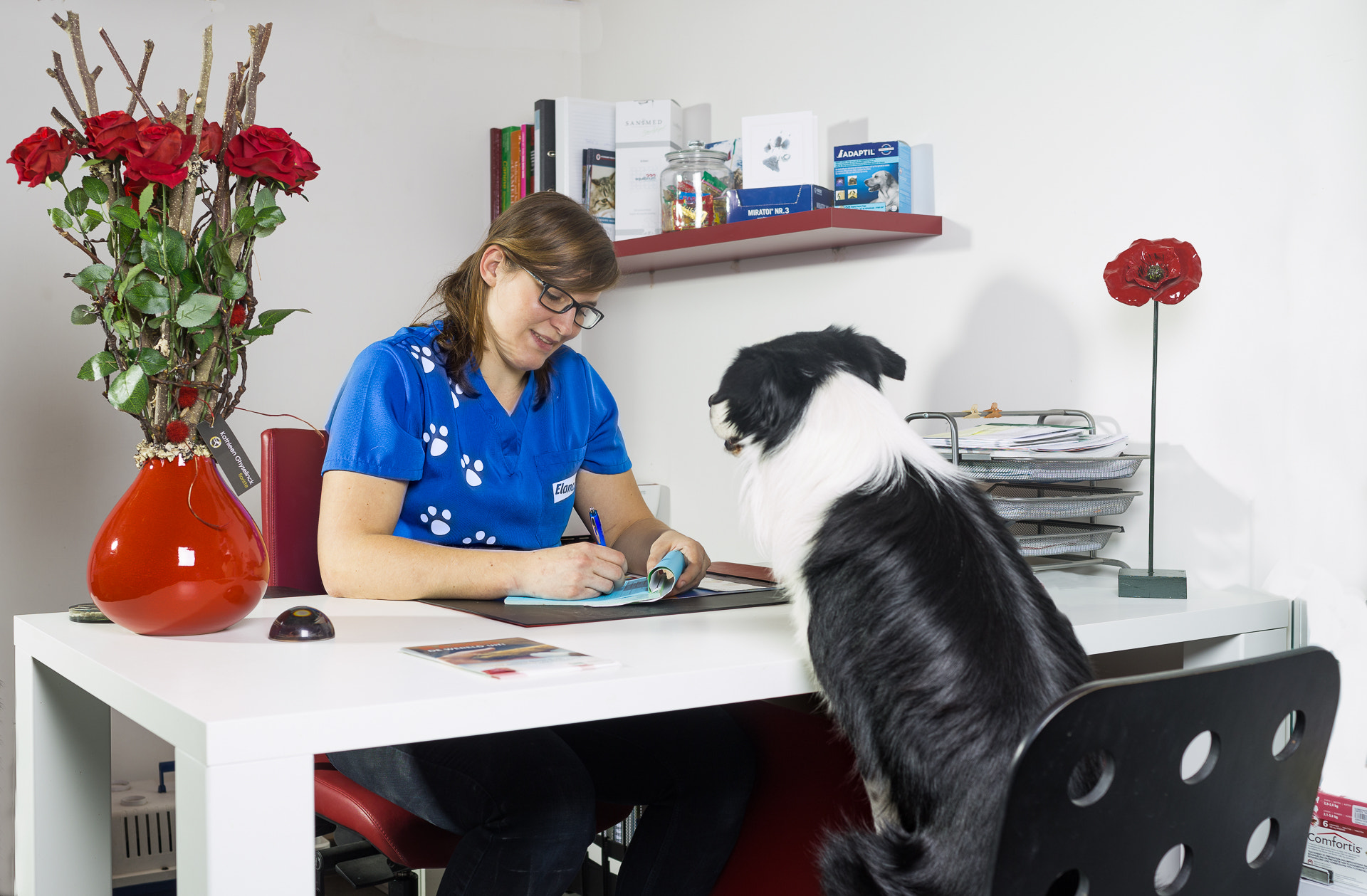 Phase One IQ140 sample photo. At the vet photography