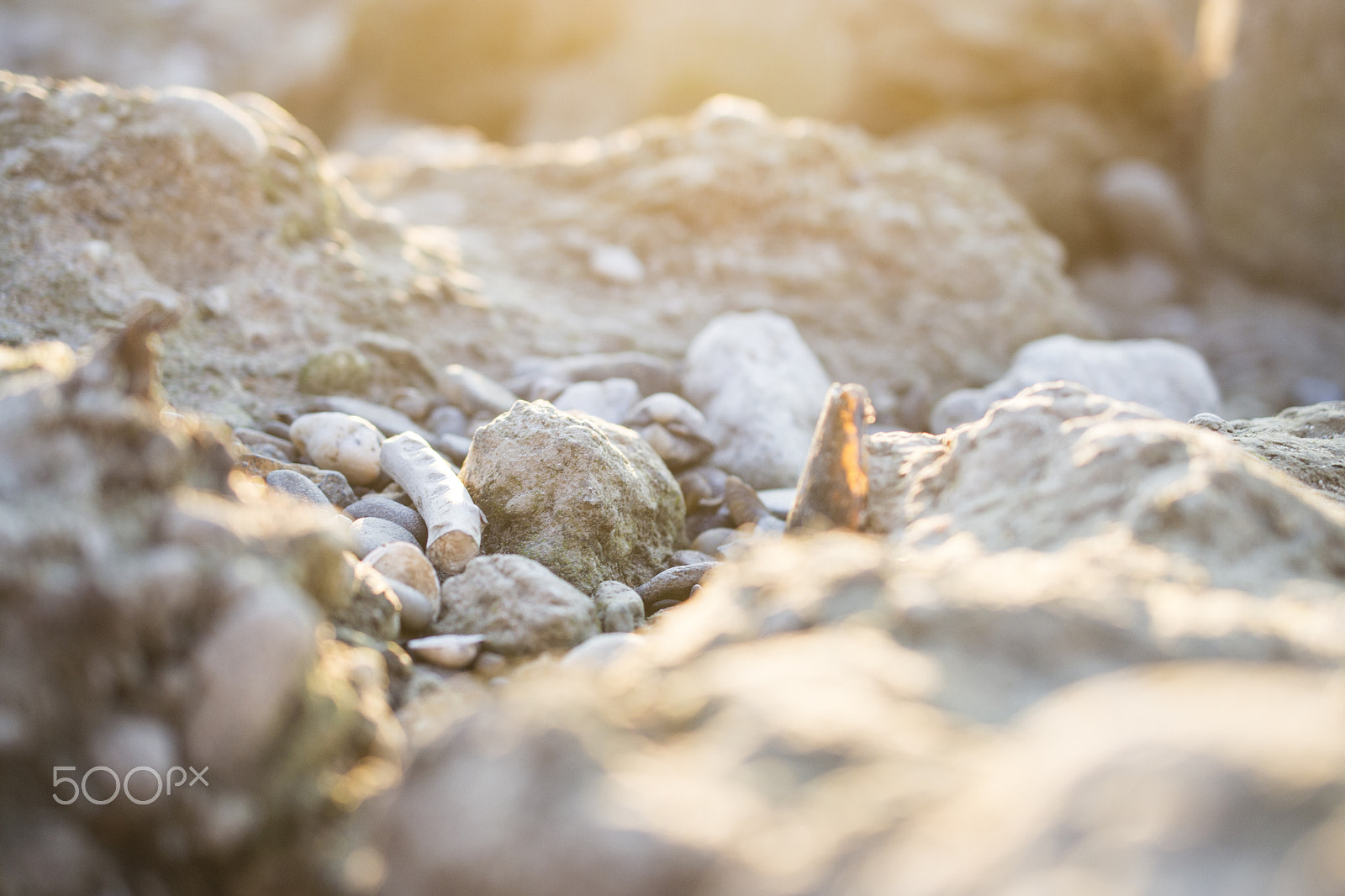 Nikon AF-S DX Micro Nikkor 40mm F2.8 sample photo. Stranded goods photography