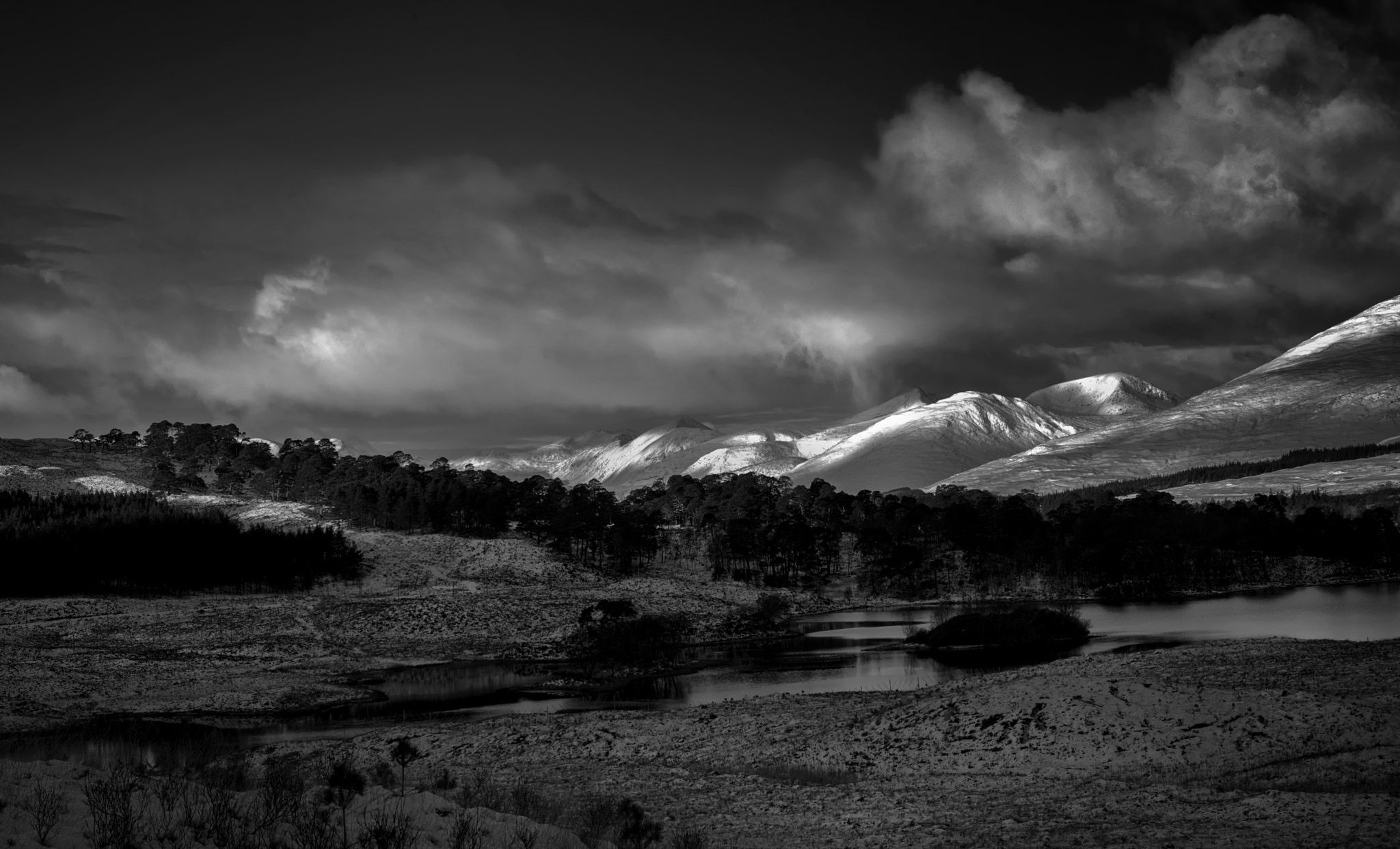 Nikon D800 + AF-S Zoom-Nikkor 24-85mm f/3.5-4.5G IF-ED sample photo. Caledonian pines loch tulla photography
