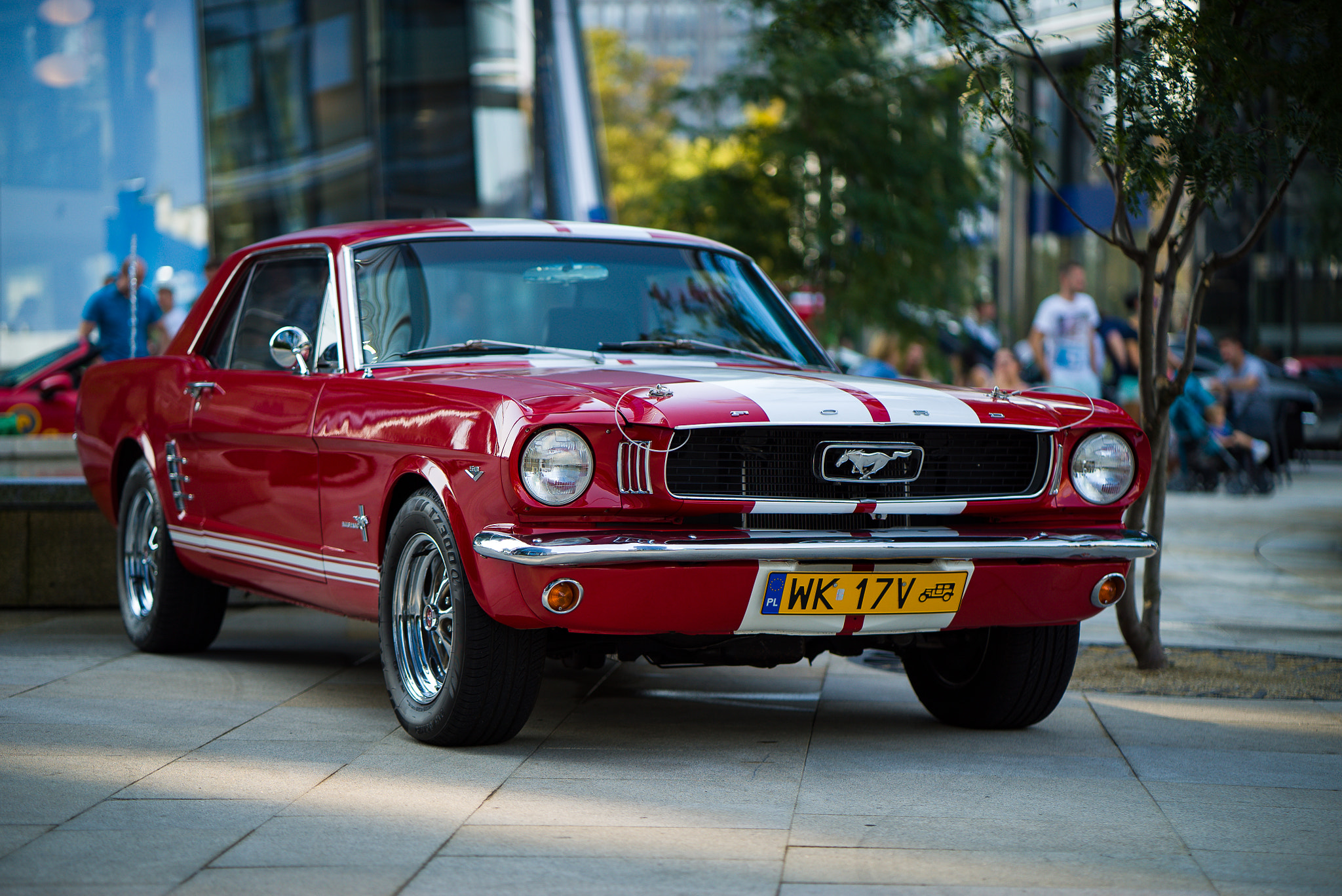 Sony a7S sample photo. Mustang photography