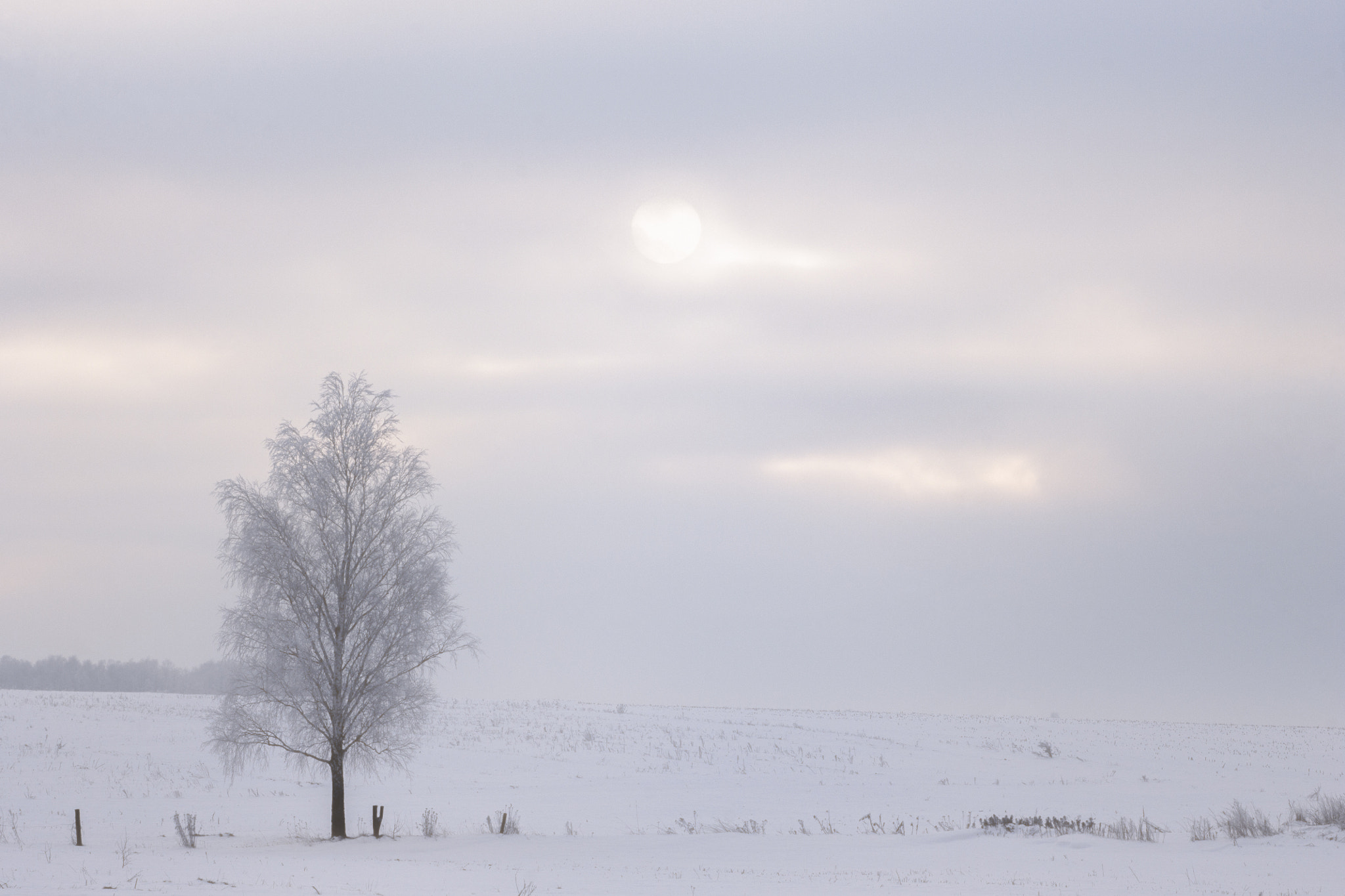 Canon EF 35-80mm f/4-5.6 sample photo. *** photography