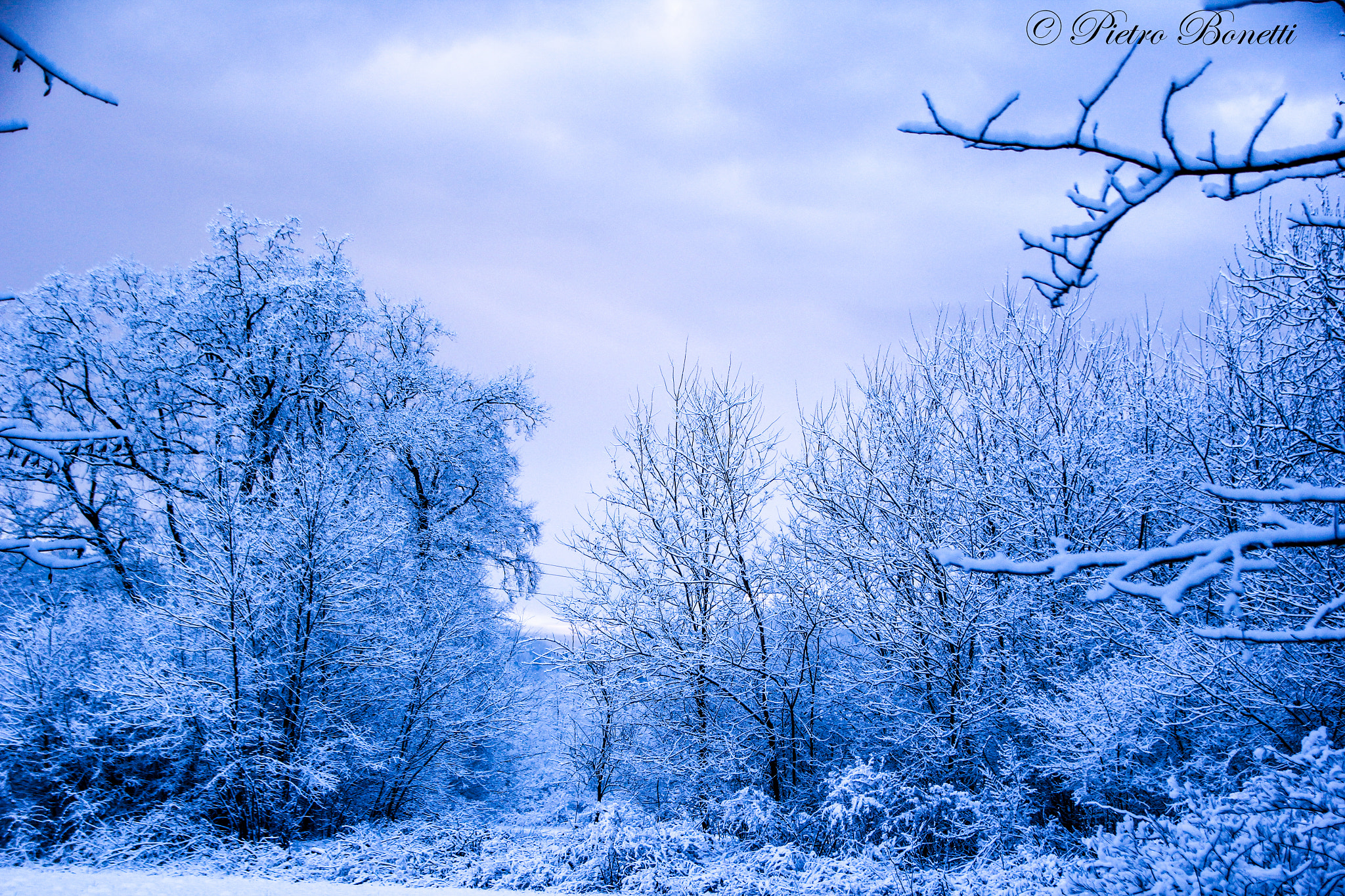 Canon EOS 60D sample photo. The land of fairy tales photography