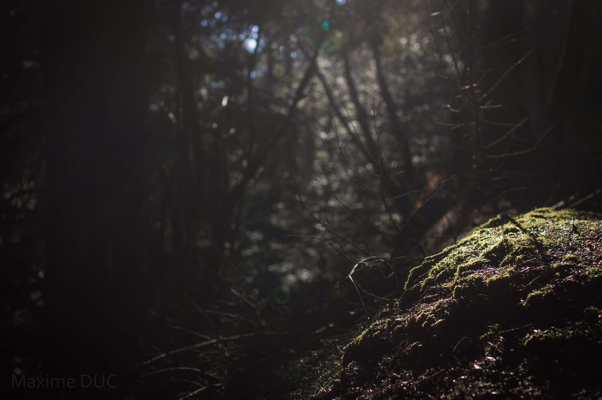 Nikon D3200 sample photo. Sans titre photography