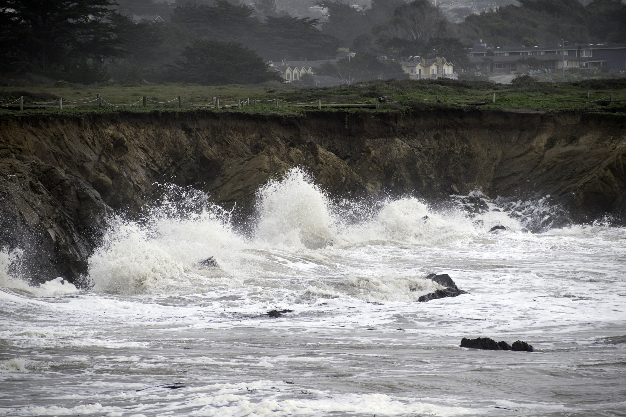 Nikon D5500 sample photo. The pacific speaks photography