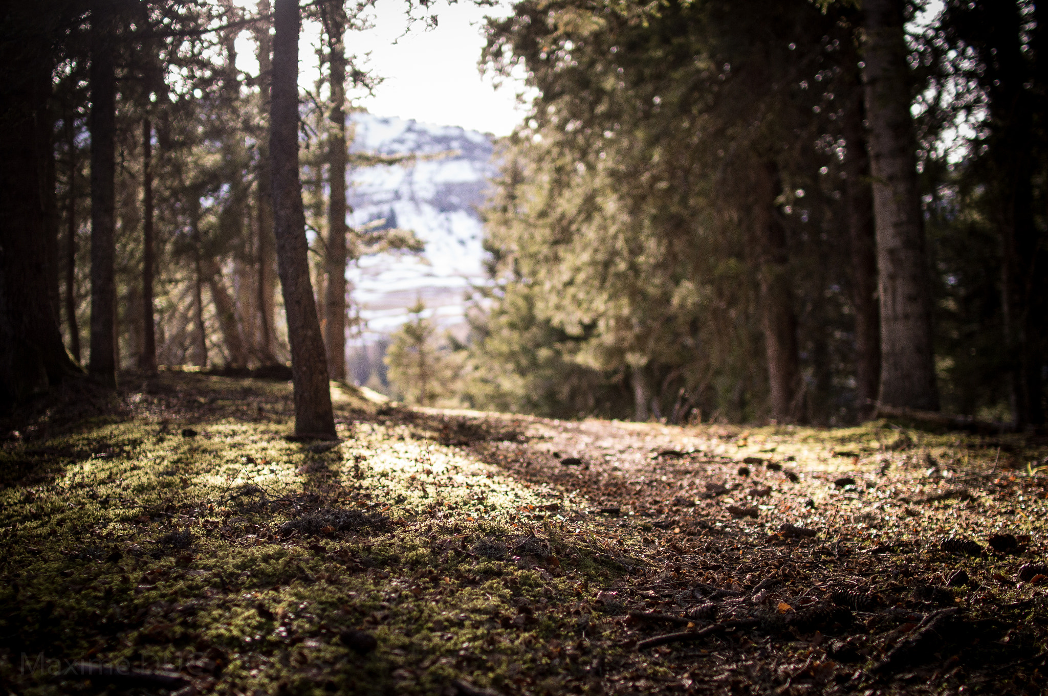 Nikon D3200 sample photo. Sans titre photography