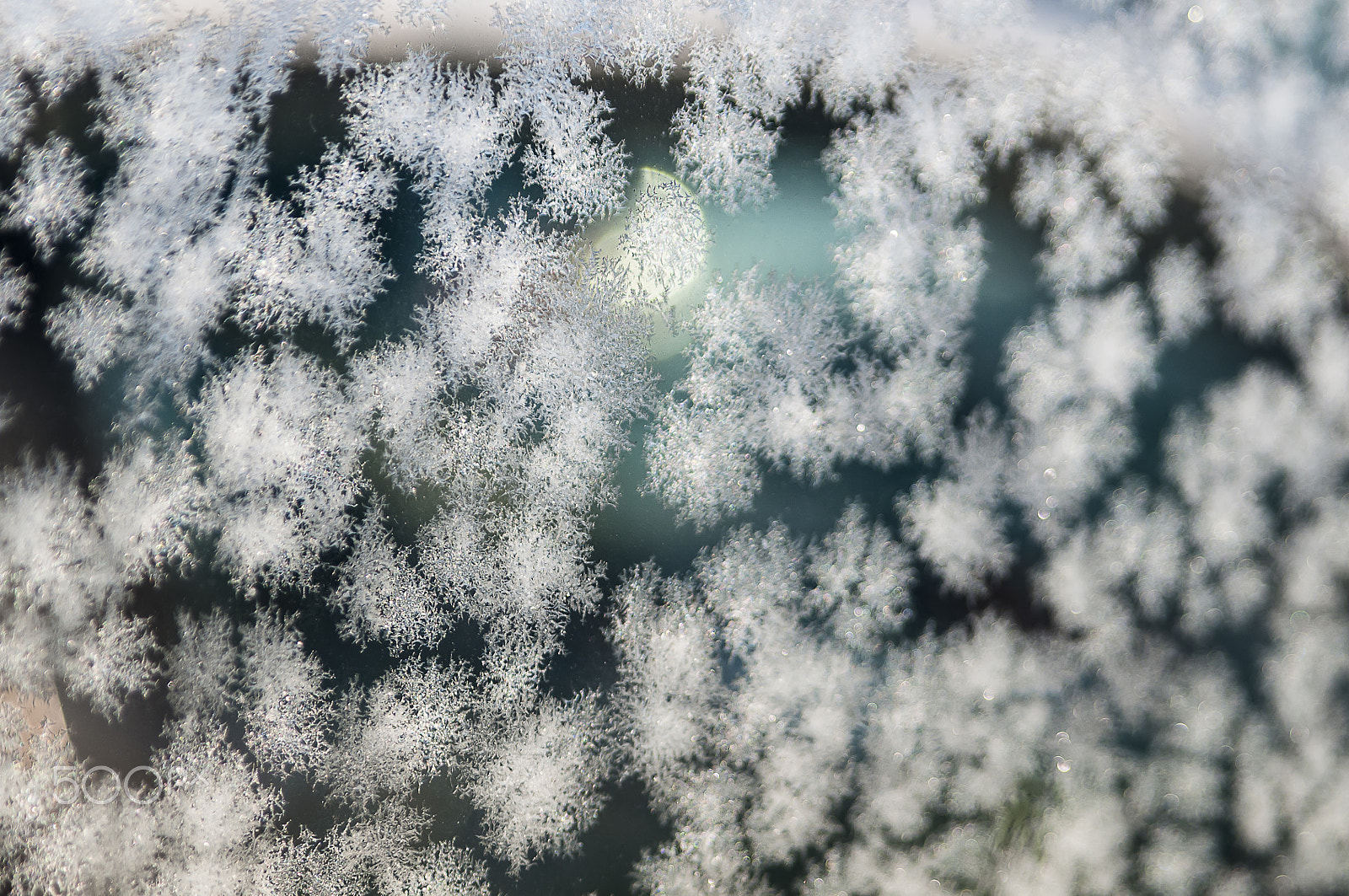 Nikon D300S sample photo. Frosted glass photography