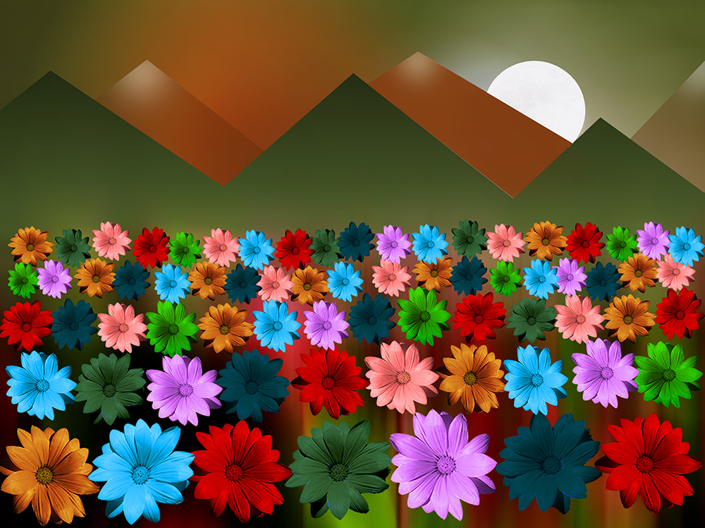 Ricoh Caplio R6 sample photo. Field of flowers photography