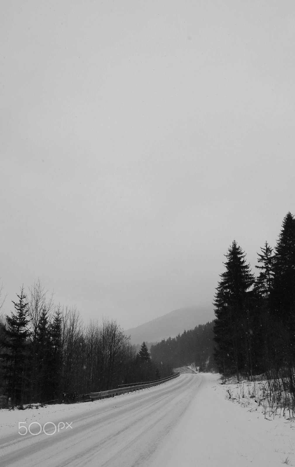 Nikon D90 sample photo. Winter forest photography