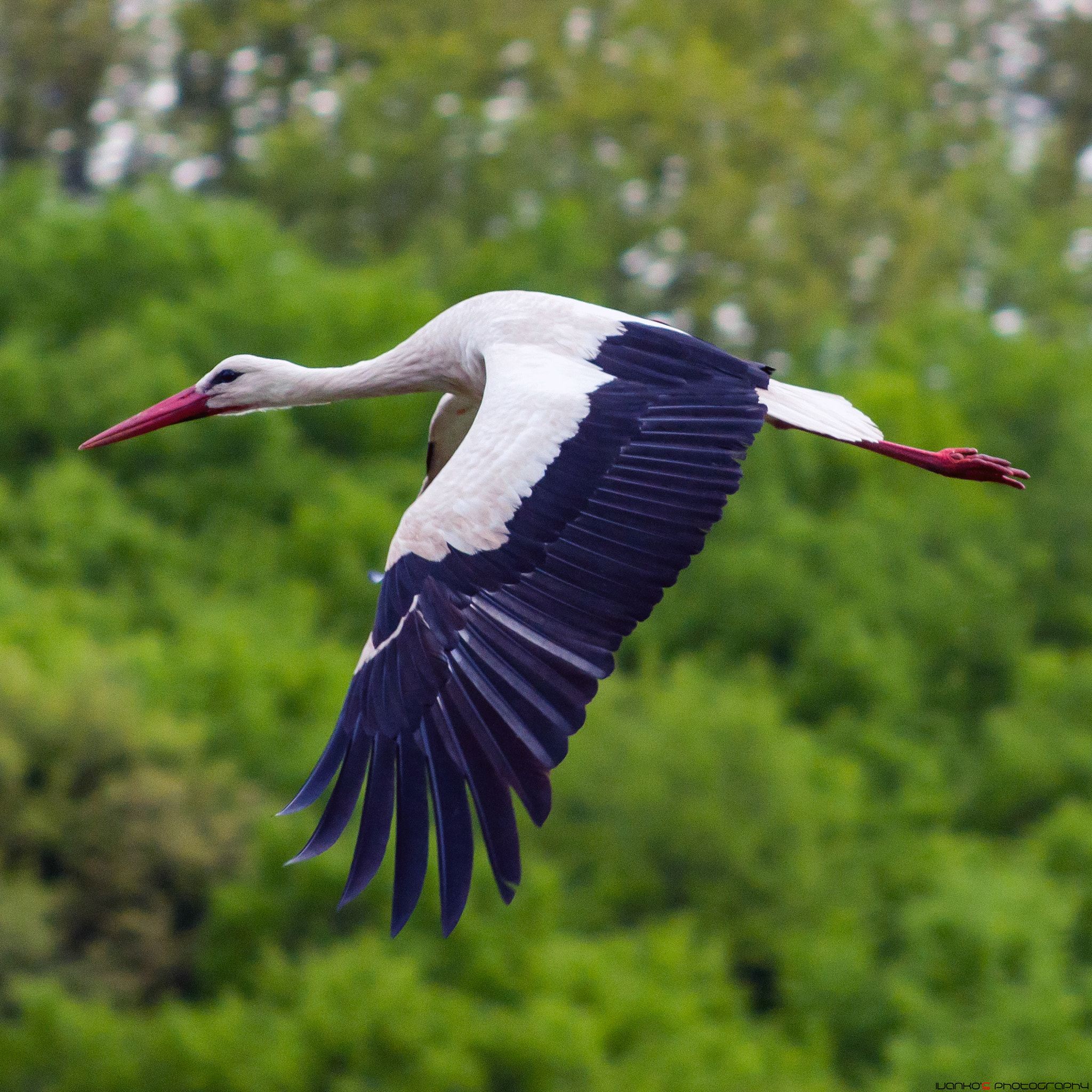 Nikon D90 + AF Nikkor 70-210mm f/4-5.6 sample photo. Fly photography