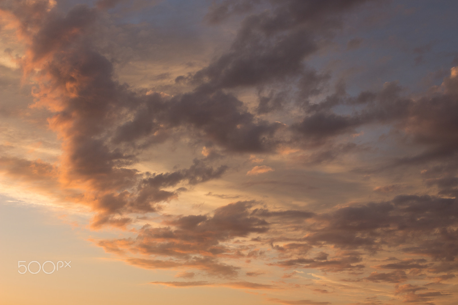 Canon EOS 650D (EOS Rebel T4i / EOS Kiss X6i) + Canon EF 40mm F2.8 STM sample photo. What do you see? photography