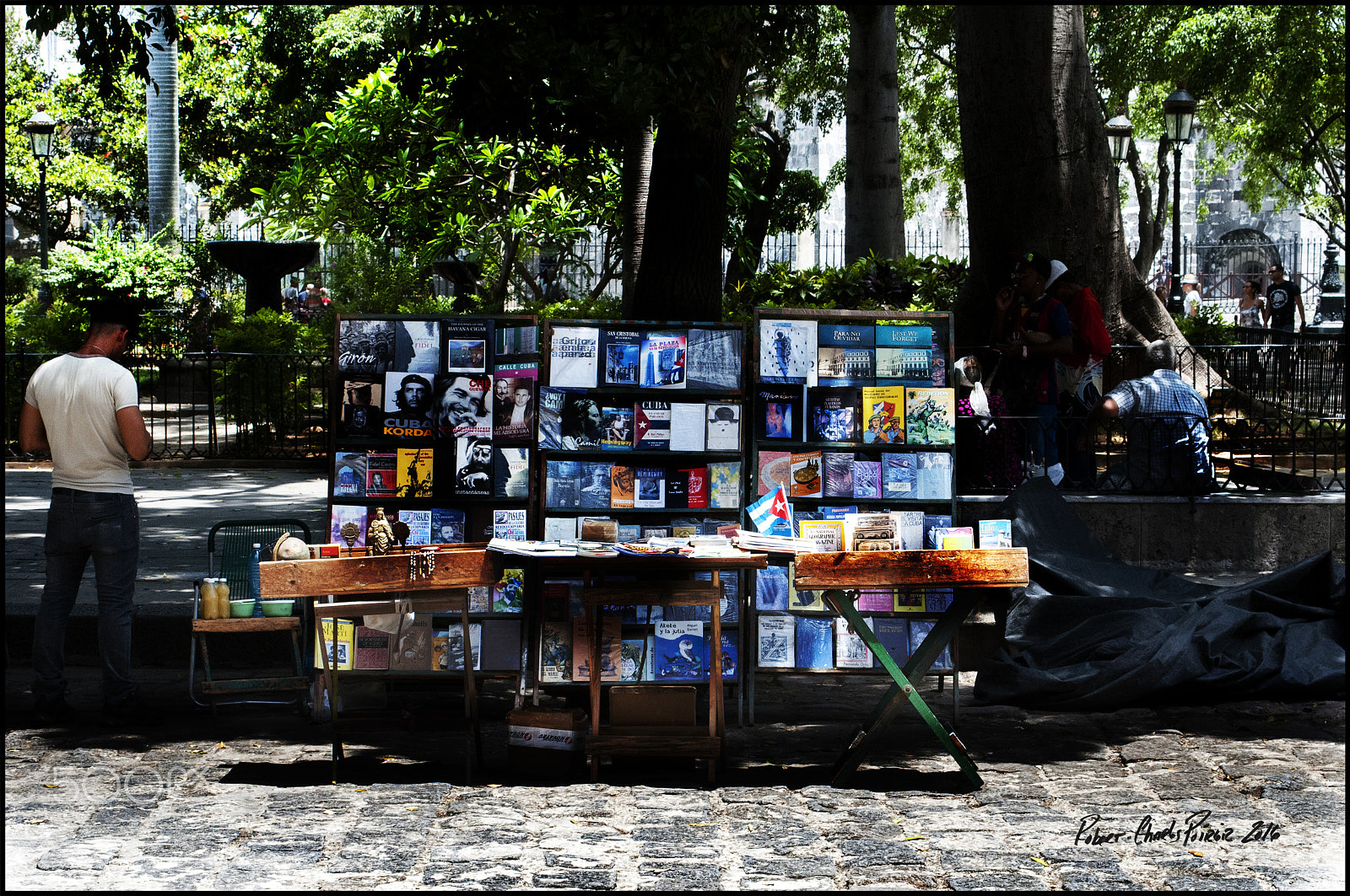 Nikon D300 sample photo. The che is everywhere photography