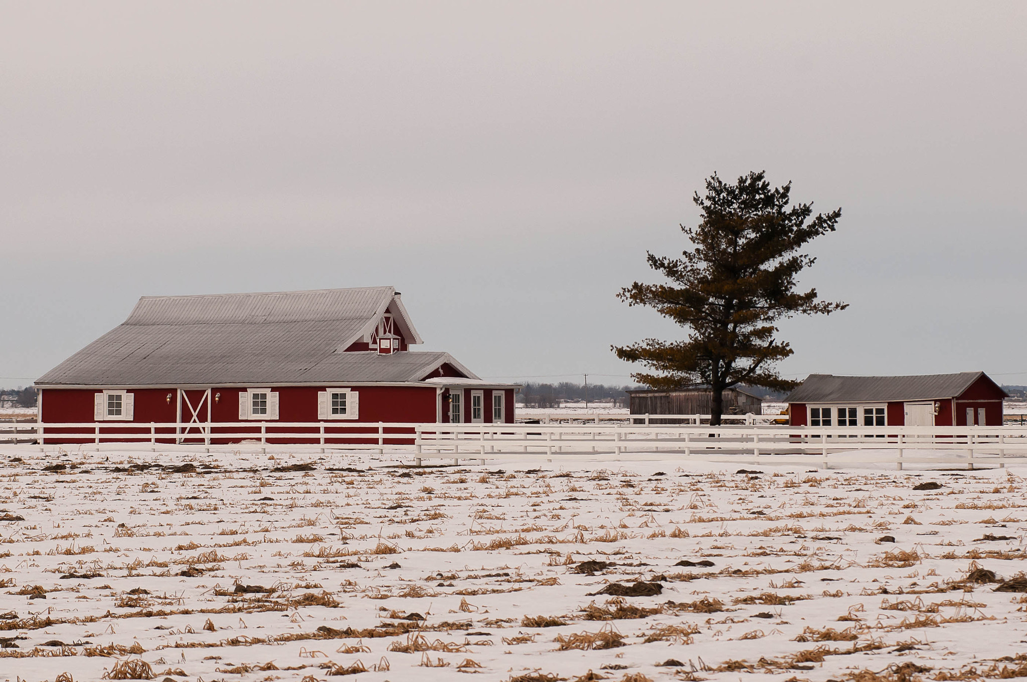 AF Zoom-Nikkor 80-200mm f/2.8 ED sample photo. Barns photography