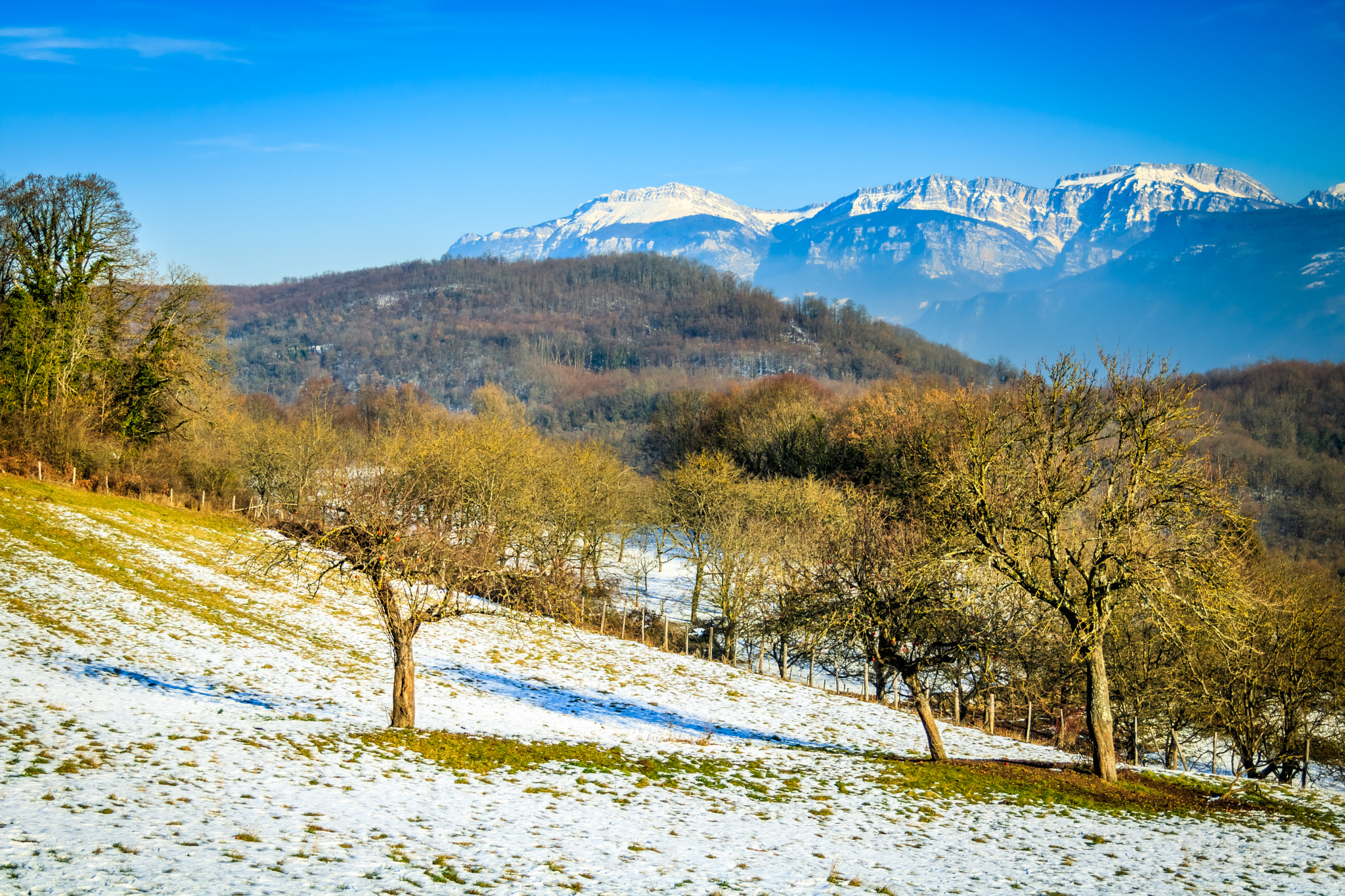Canon EF 24-85mm F3.5-4.5 USM sample photo. Cras - france photography