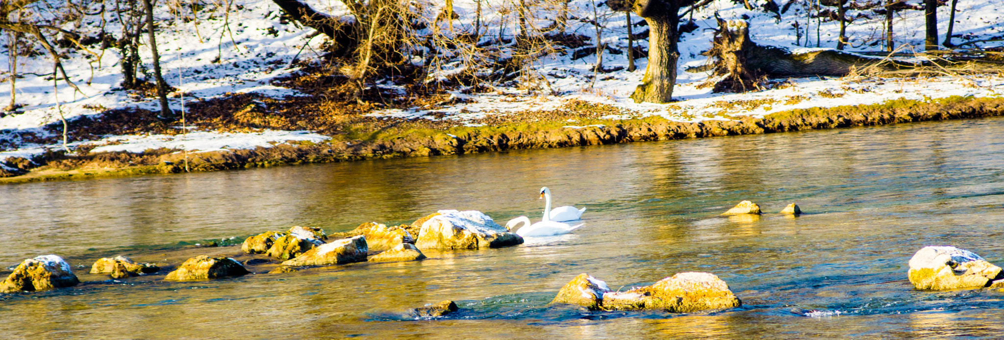 Sony a6000 + Minolta AF 35-105mm F3.5-4.5 sample photo. Paarschaft im winter photography