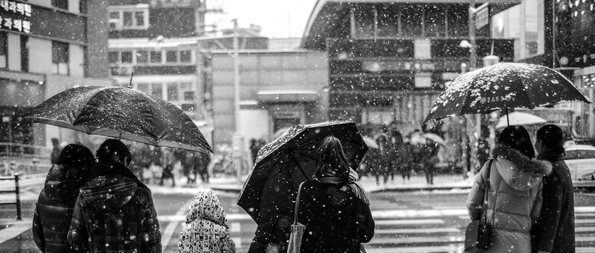 Nikon Df + ZEISS Planar T* 50mm F1.4 sample photo. Snow photography