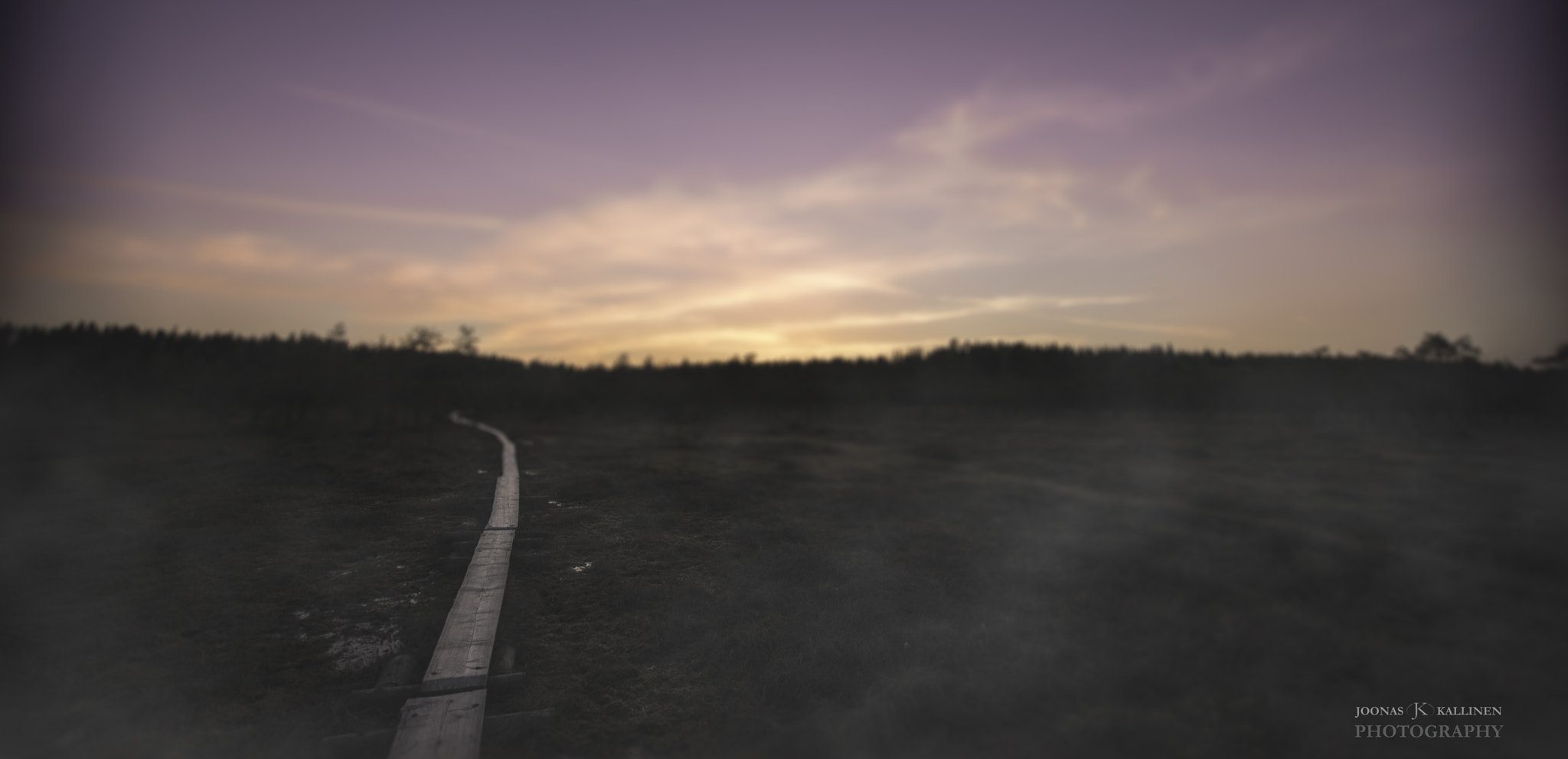 Nikon D610 + Sigma 10-20mm F3.5 EX DC HSM sample photo. Summertime spent at swamp photography