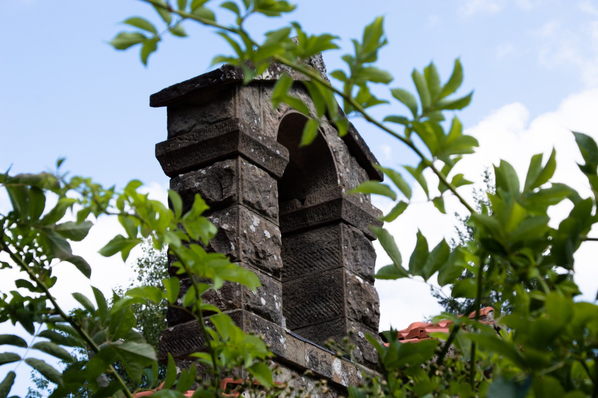 Sigma 28-300mm F3.5-6.3 DG Macro sample photo. Dettagli photography