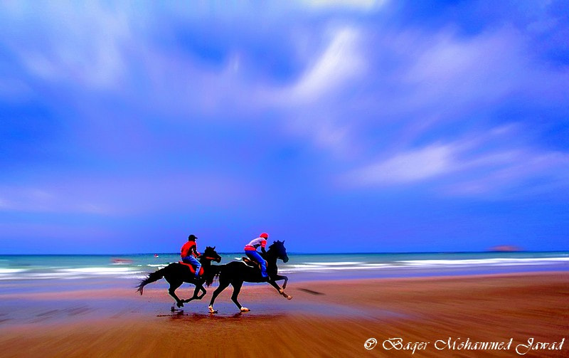 Olympus C5050Z sample photo. Beach horse race ! photography