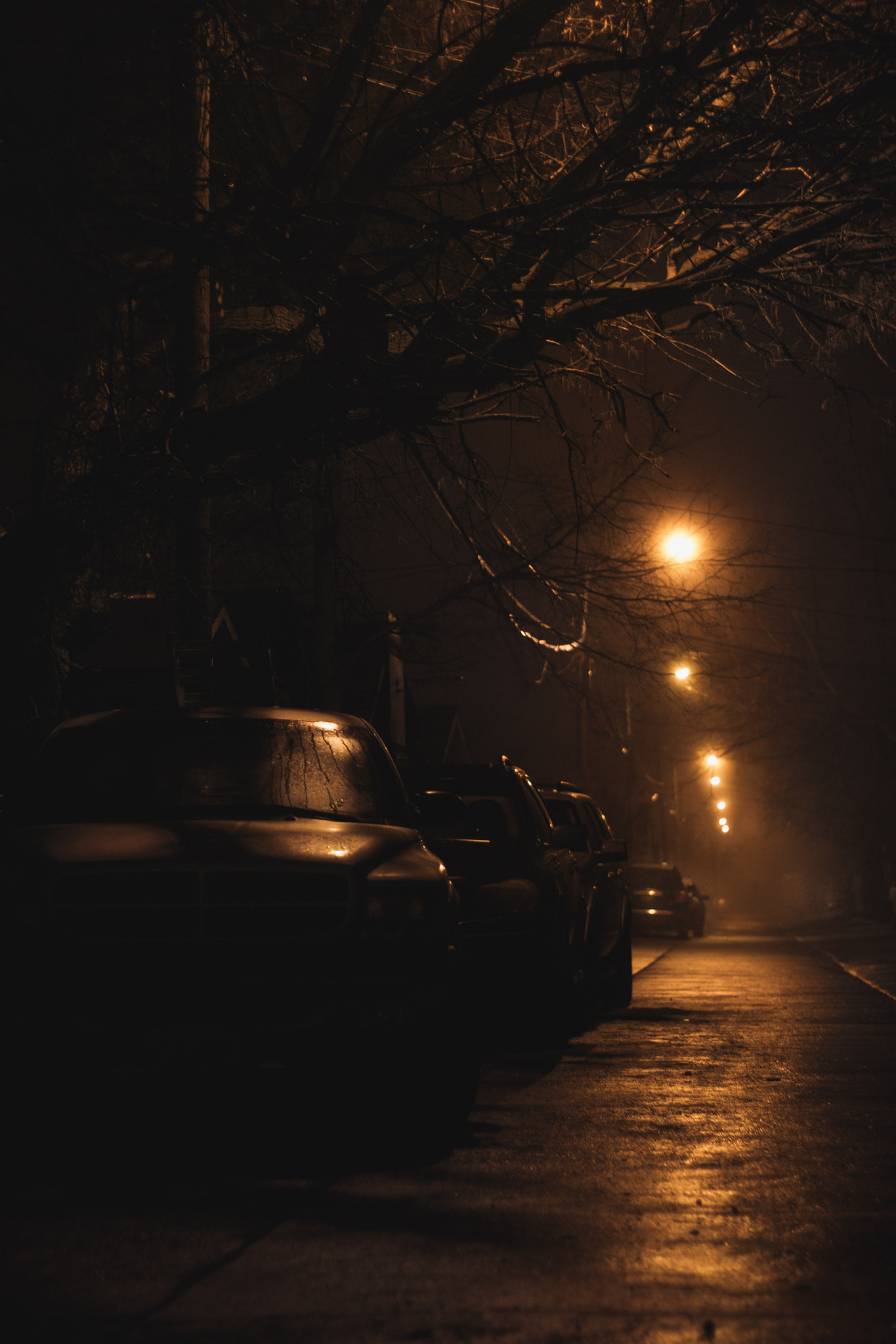 Canon EF 50mm f/1.8 sample photo. Alleyway photography