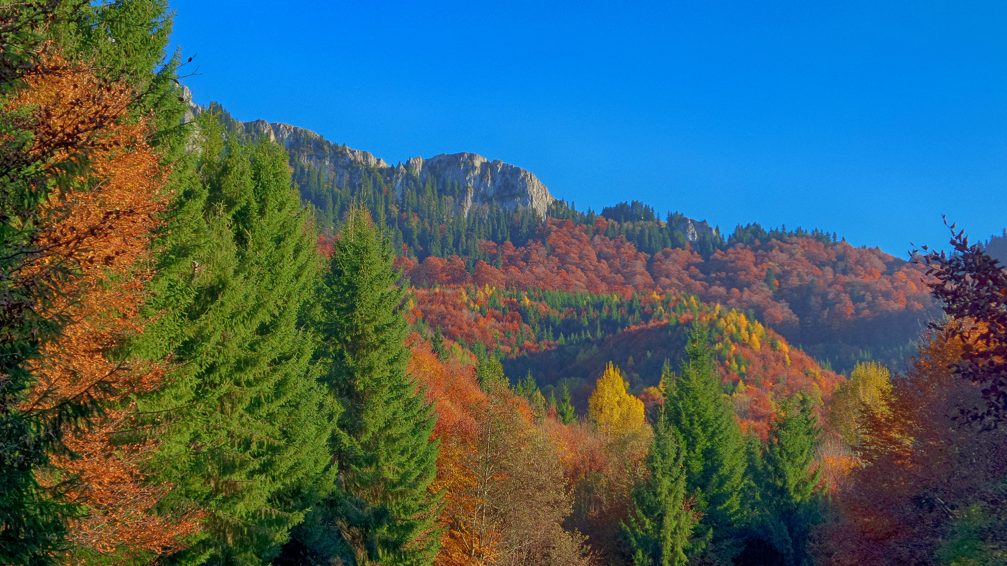Samsung Galaxy K Zoom sample photo. Autumn symphony photography