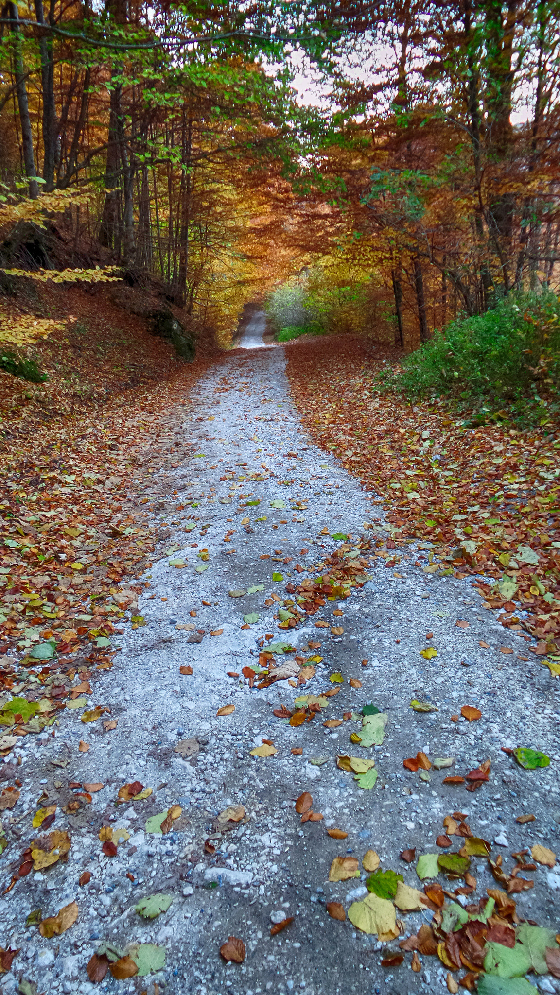 Samsung Galaxy K Zoom sample photo. The road continues ... photography
