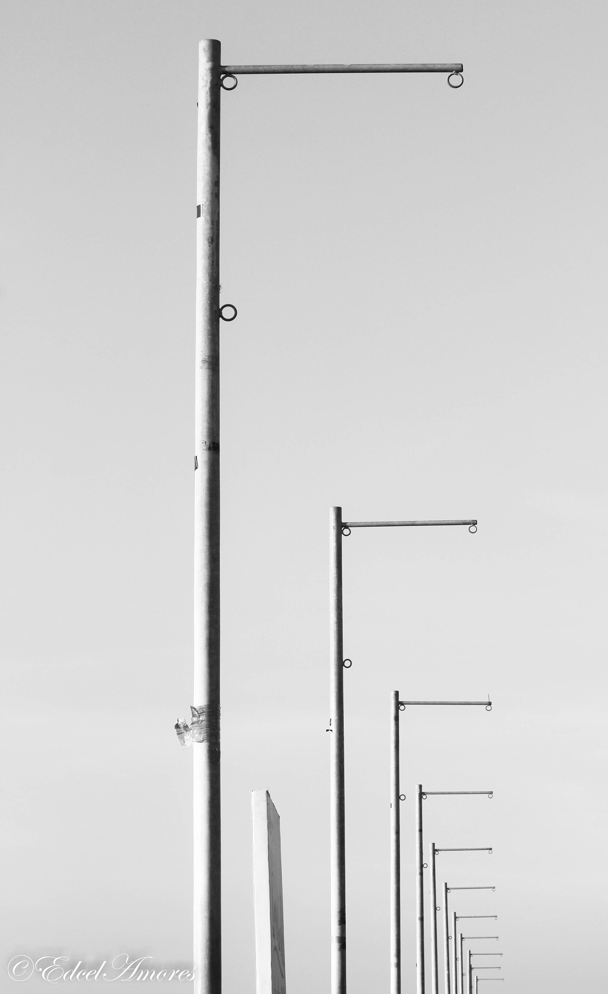 Canon EF 70-300mm F4-5.6 IS USM sample photo. Following photography