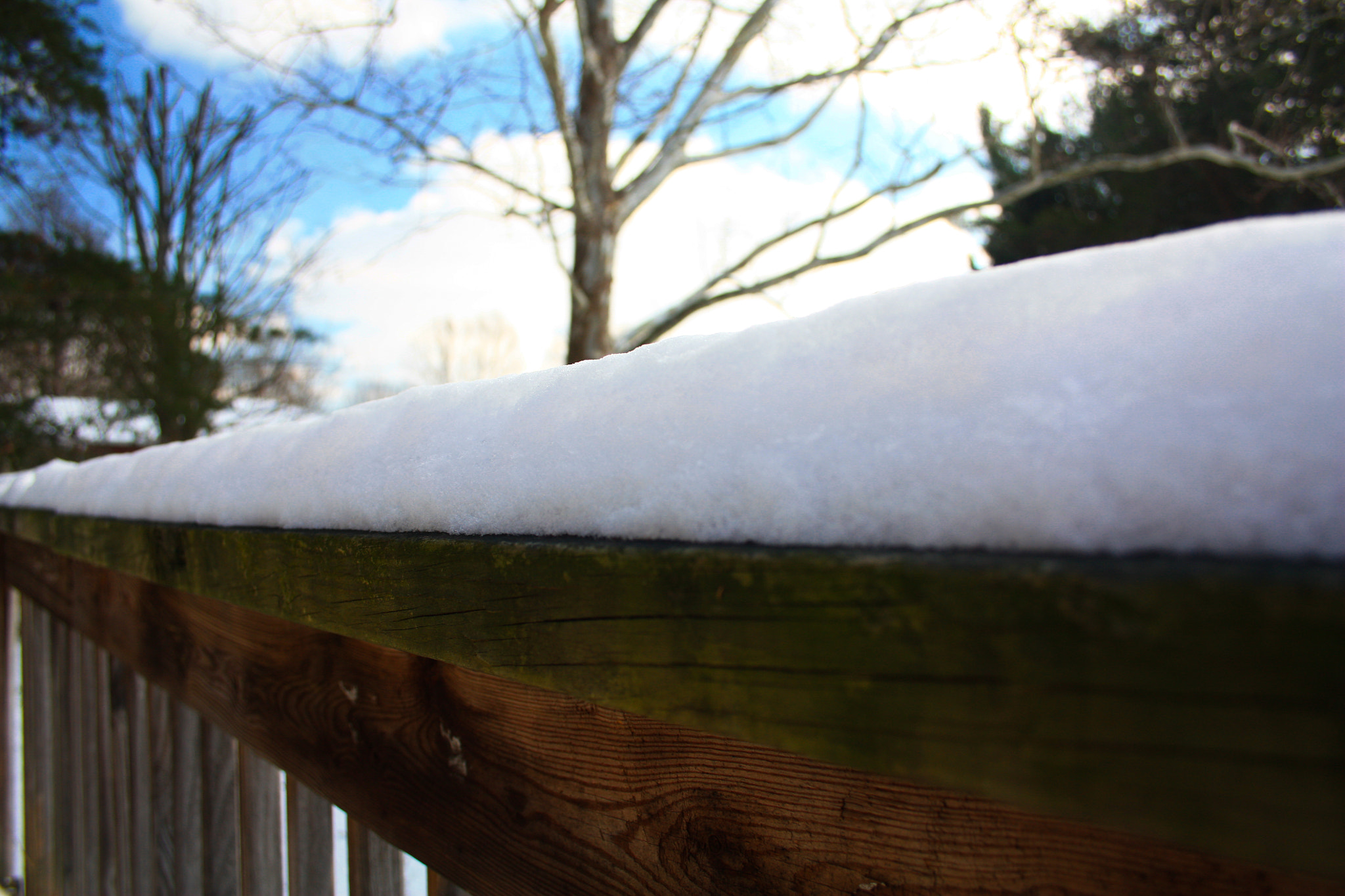 Canon EOS 450D (EOS Rebel XSi / EOS Kiss X2) sample photo. Perfect snow photography