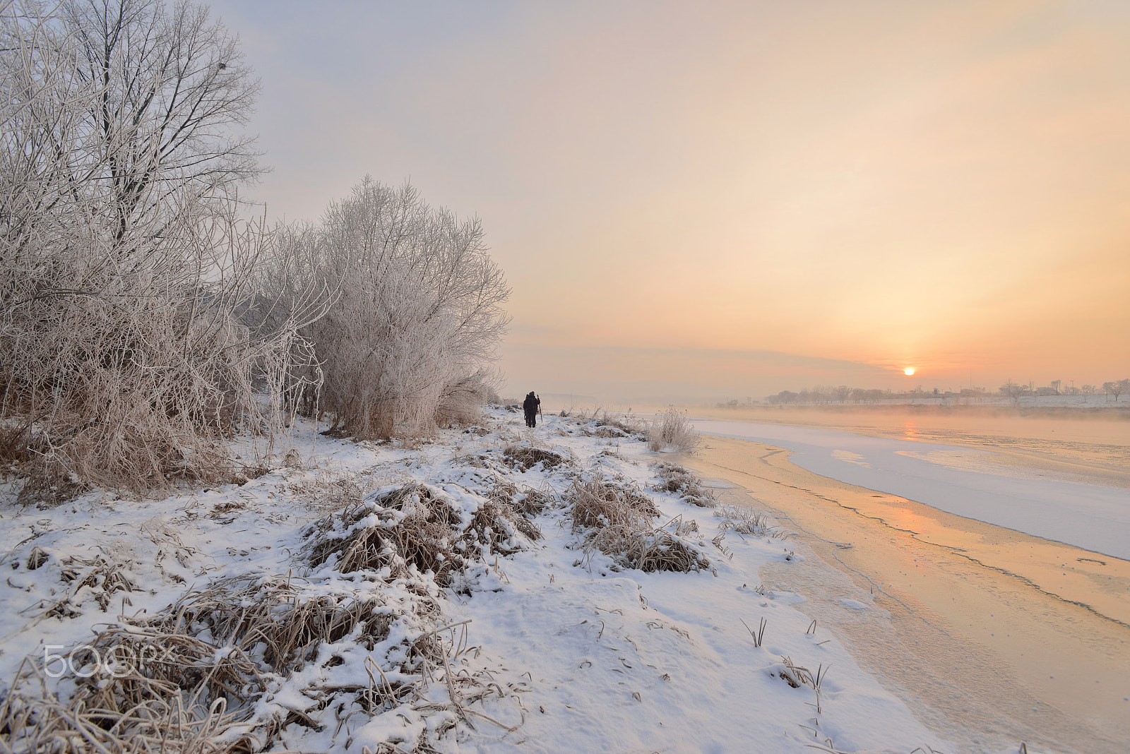 Nikon D800 sample photo. The beauty of winter photography