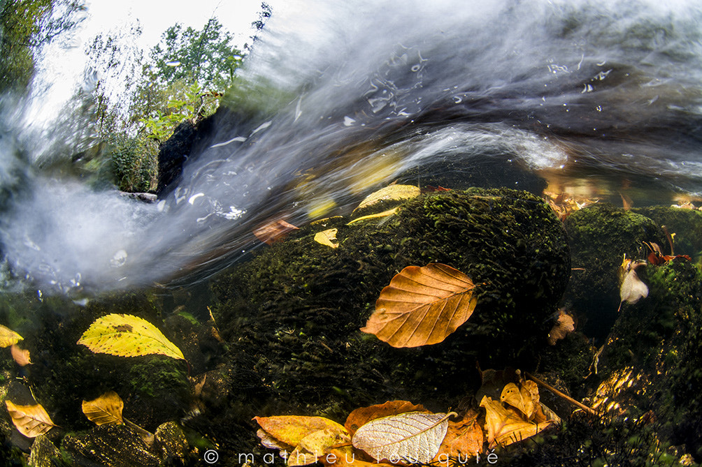 Nikon AF DX Fisheye-Nikkor 10.5mm F2.8G ED sample photo. Arn river over-under photography