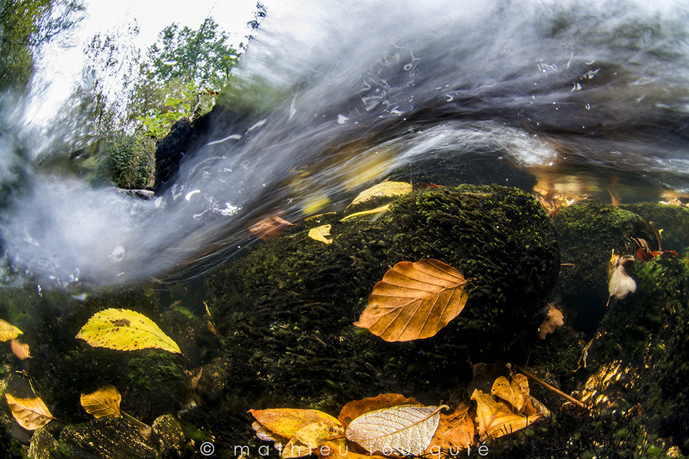 Nikon D7100 + Nikon AF DX Fisheye-Nikkor 10.5mm F2.8G ED sample photo. Arn river over-under photography